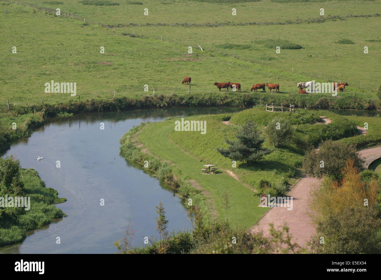 France, Haute Normandie, seine maritime, paye de caux maritime, paluel, panorama sur la vallée de la durdent, mer de la rivière, aire de repos pres de la durdent Banque D'Images