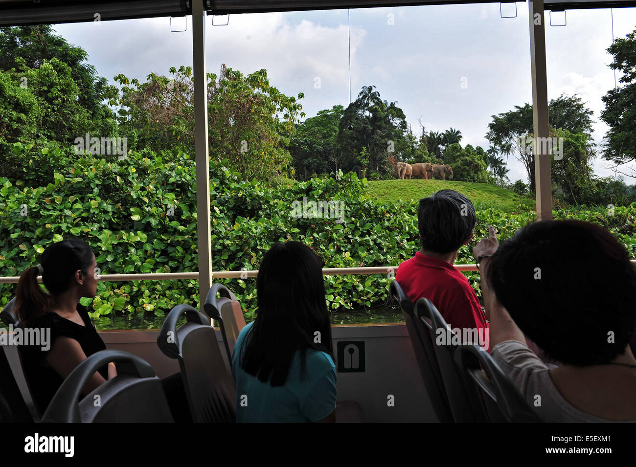 (140730) -- SINGAPOUR, 30 juillet 2014 (Xinhua) -- Les touristes voir l'animal de la croisière au River Safari de Singapour le 30 juillet 2014. La croisière sur le fleuve de Singapour's River Safari est ouvert au public le 1er août. (Xinhua/puis Chih Wey)(zhf) Banque D'Images