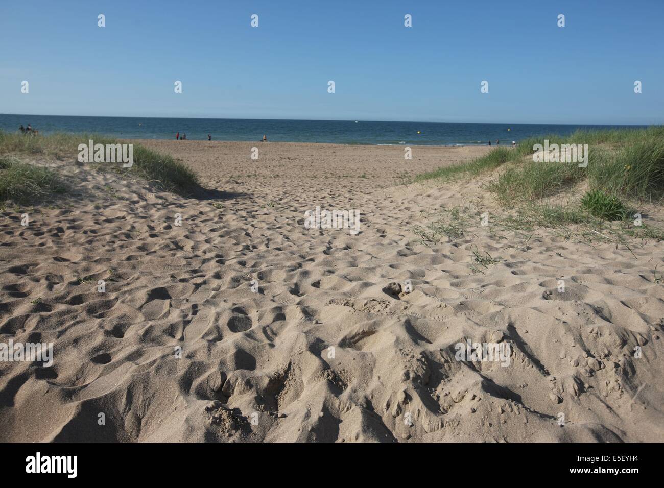 France, Basse Normandie, calvados, plages du écorcement, ouistreham riva bella, plage, sable, dunes, huîtres, chemin, mer, Banque D'Images