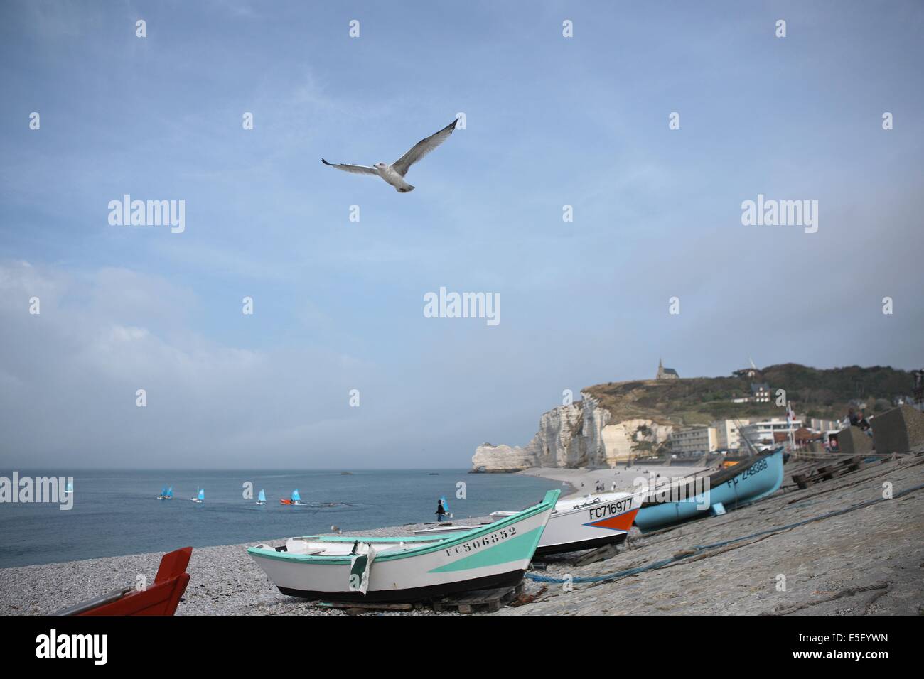 France, Haute Normandie, seine maritime, Pays des hautes faléises, etretat, plage, galets, falaise d'amont, barques, caïques, bateaux, canots, impressionnistes, goeland en vol, Banque D'Images