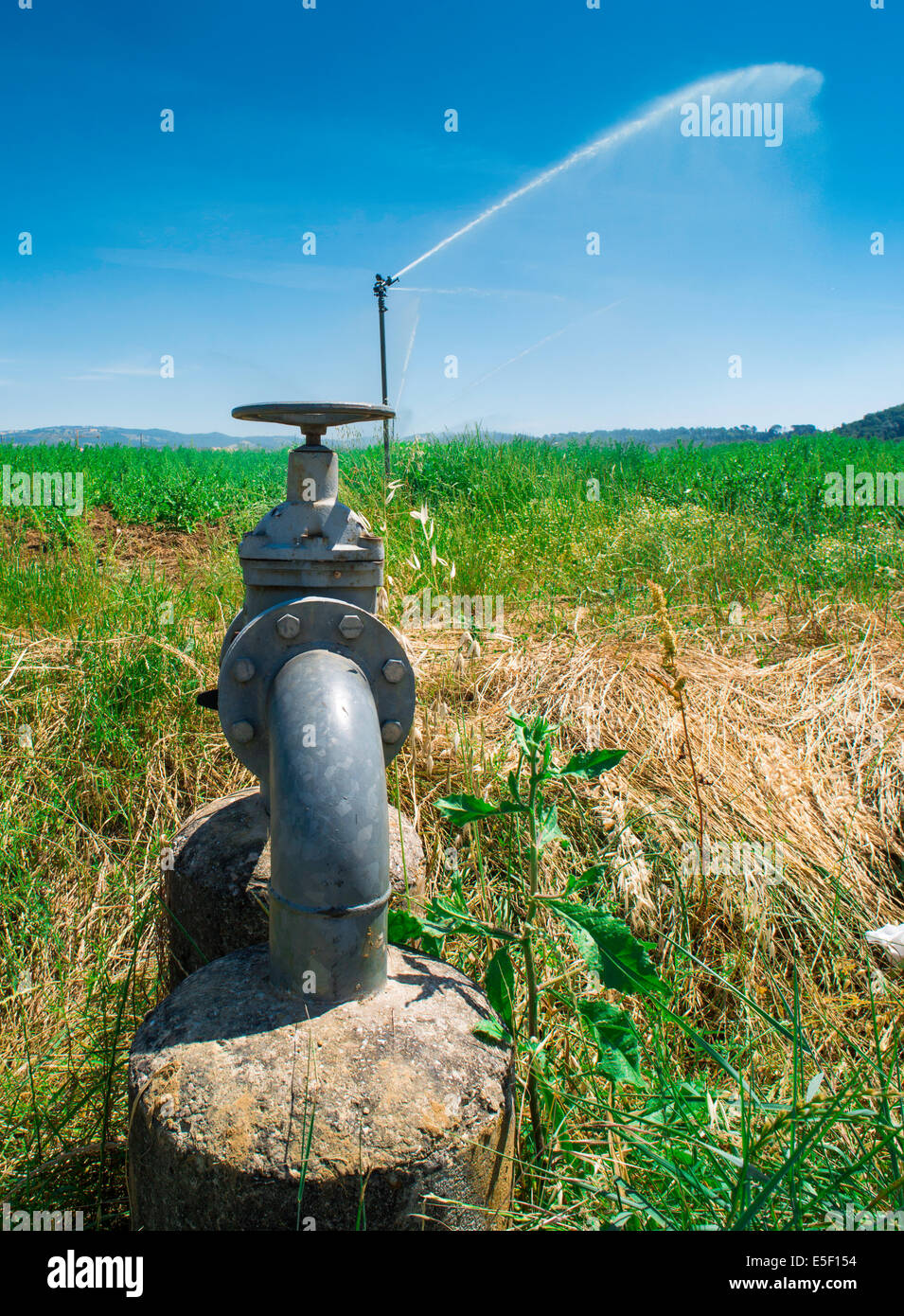Les systèmes d'irrigation agricole. Tubes et sprinkleur Banque D'Images