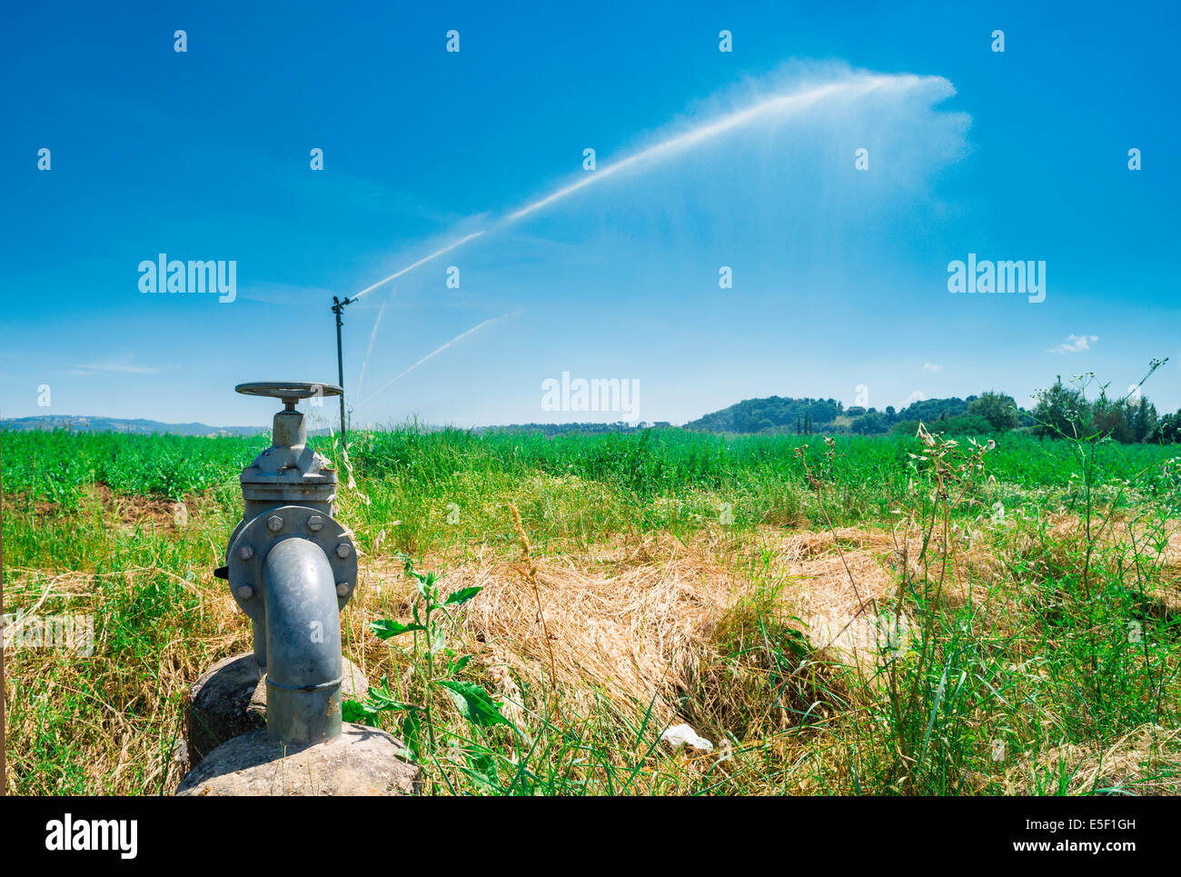 Les systèmes d'irrigation agricole. Tubes et sprinkleur Banque D'Images