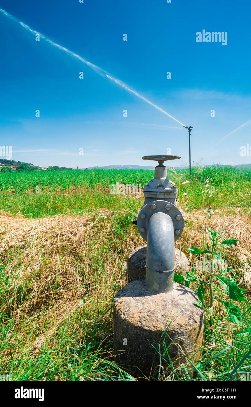 Les systèmes d'irrigation agricole. Tubes et sprinkleur Banque D'Images