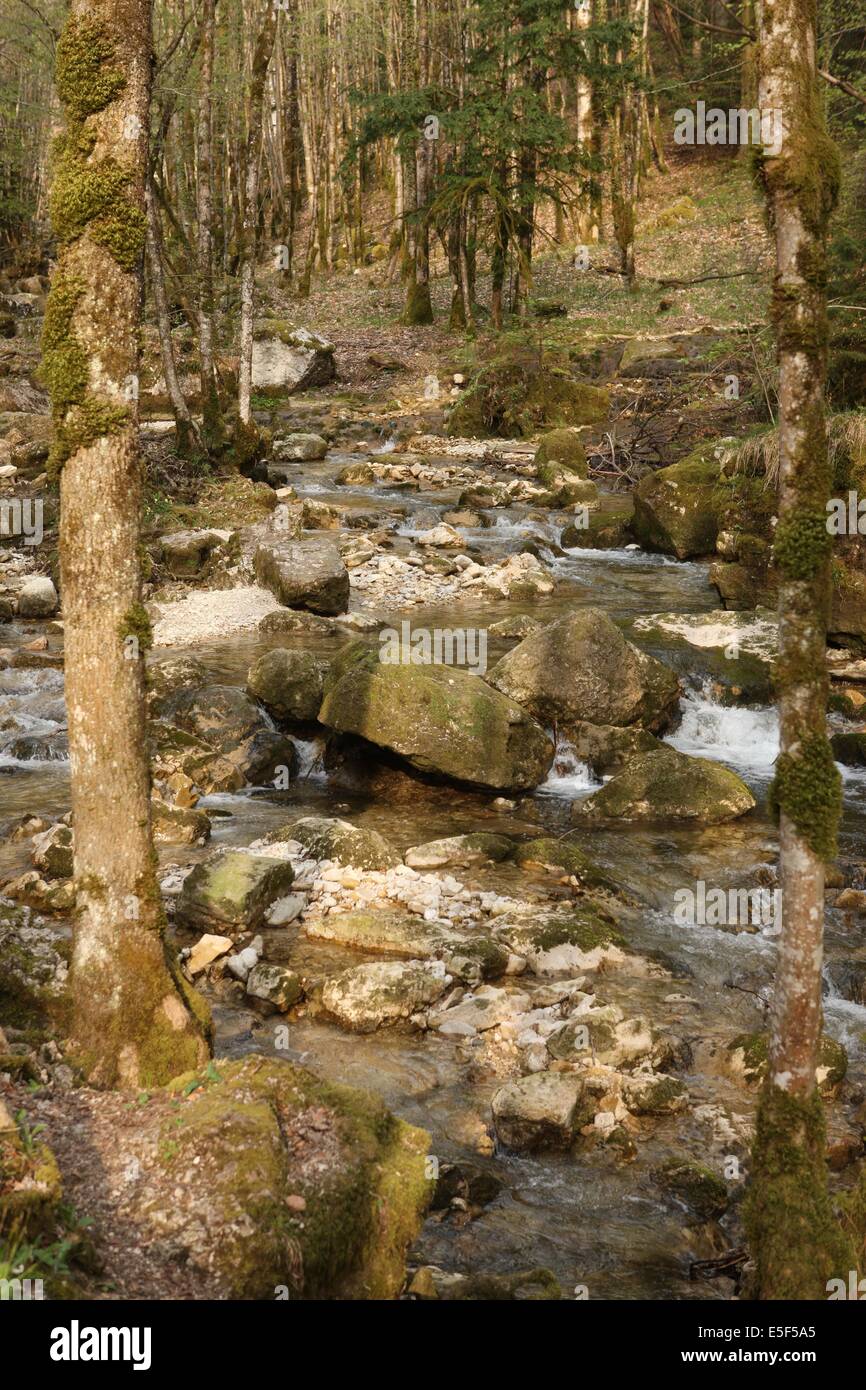 France, franche comte, jura, menetrux en joux, cascades du poisson, paie des lacs, eau, chutes, sauge, nature, Banque D'Images France, franche comte, jura, menetrux en joux, cascades du poisson, paie des lacs, eau, chutes, sauge, nature, Banque D'Images
