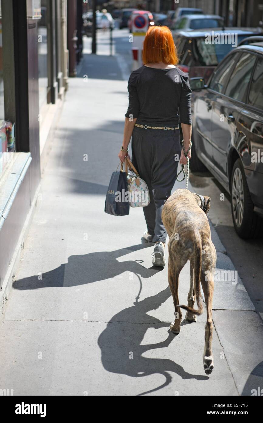 France, ile de france, paris, 7ème arrondissement, rue de babylone, femme avec un levrier afghan, ombre sur le trottoir. Date : 2011-2012 Banque D'Images