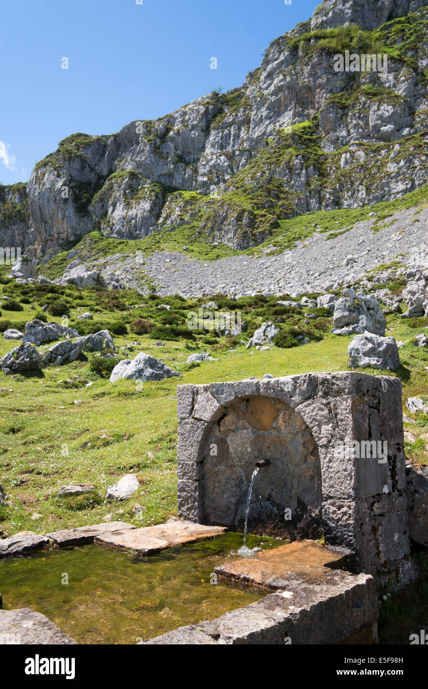 Une source de montagne alimentant un abreuvoir bovins Parc National Picos de Europa, Asturias, Espagne, Europe Banque D'Images
