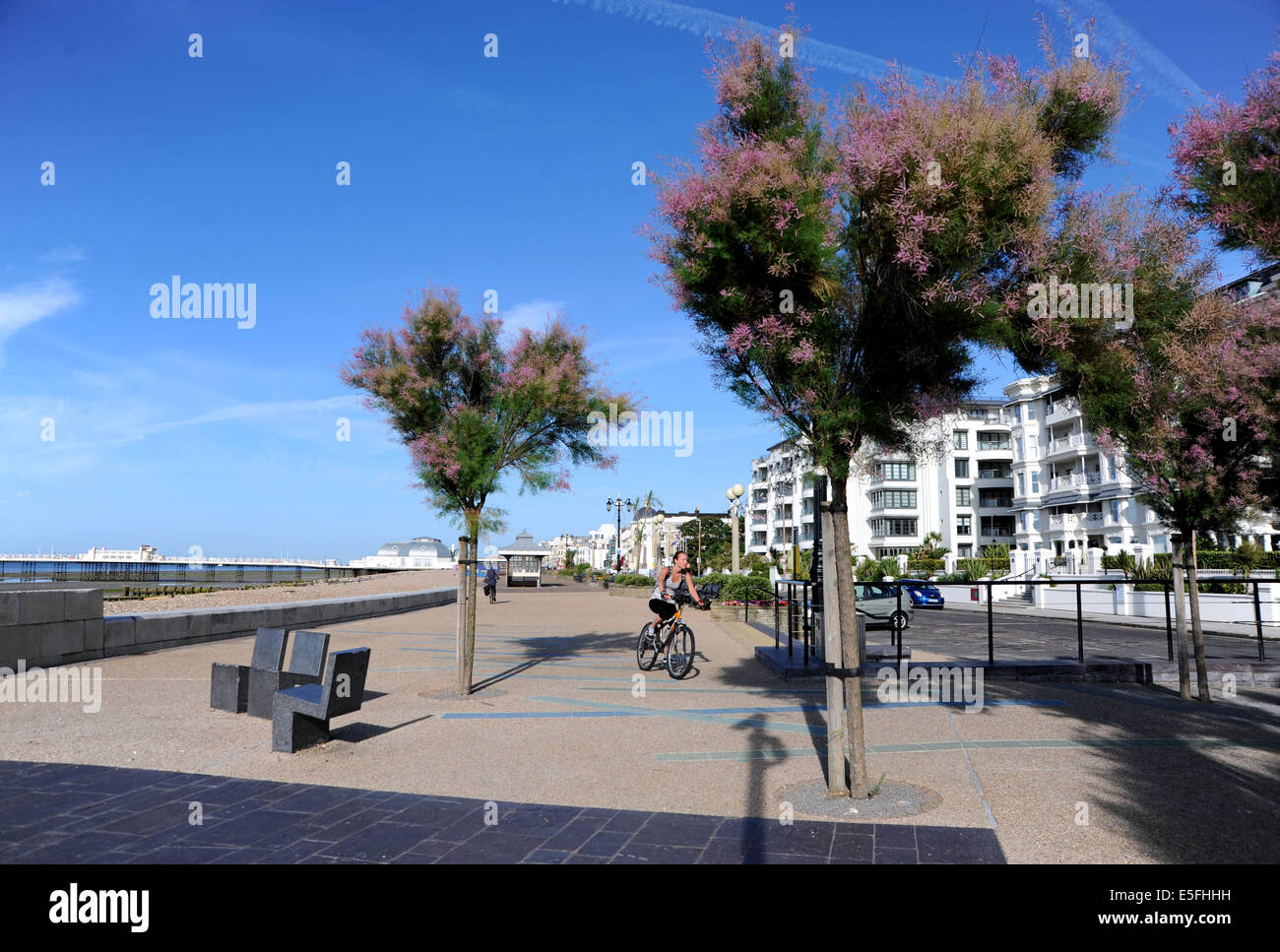 Worthing, Sussex, UK. Juillet, 2014. Un cycliste au Splash Point sur Worthing front ce matin comme le bain de l'été a continué le long de la côte sud Banque D'Images