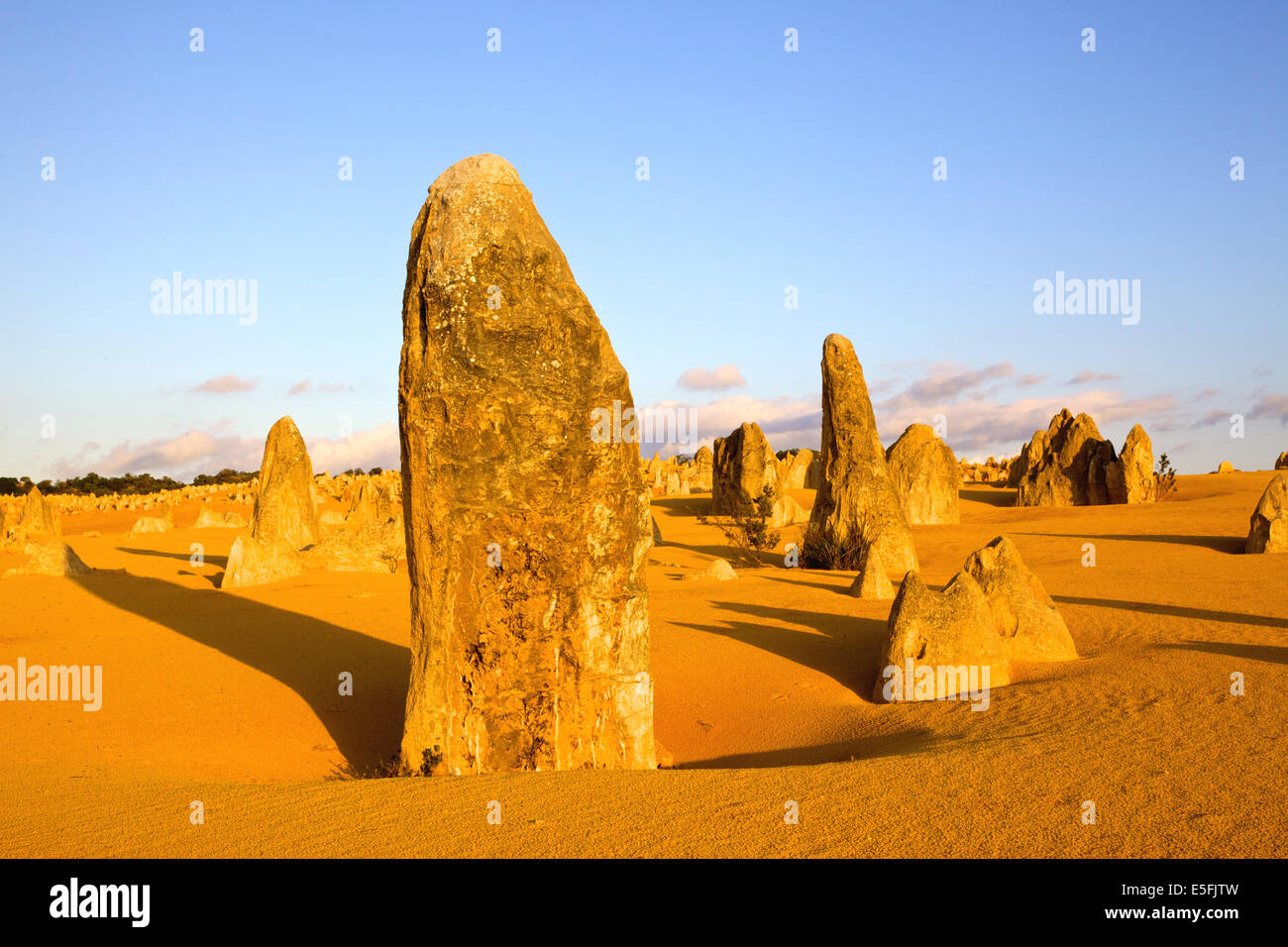 Les pinacles sont des formations calcaires contenues dans le Parc National de Nambung, près de la ville de Cervantès, l'ouest de l'Australie. Banque D'Images