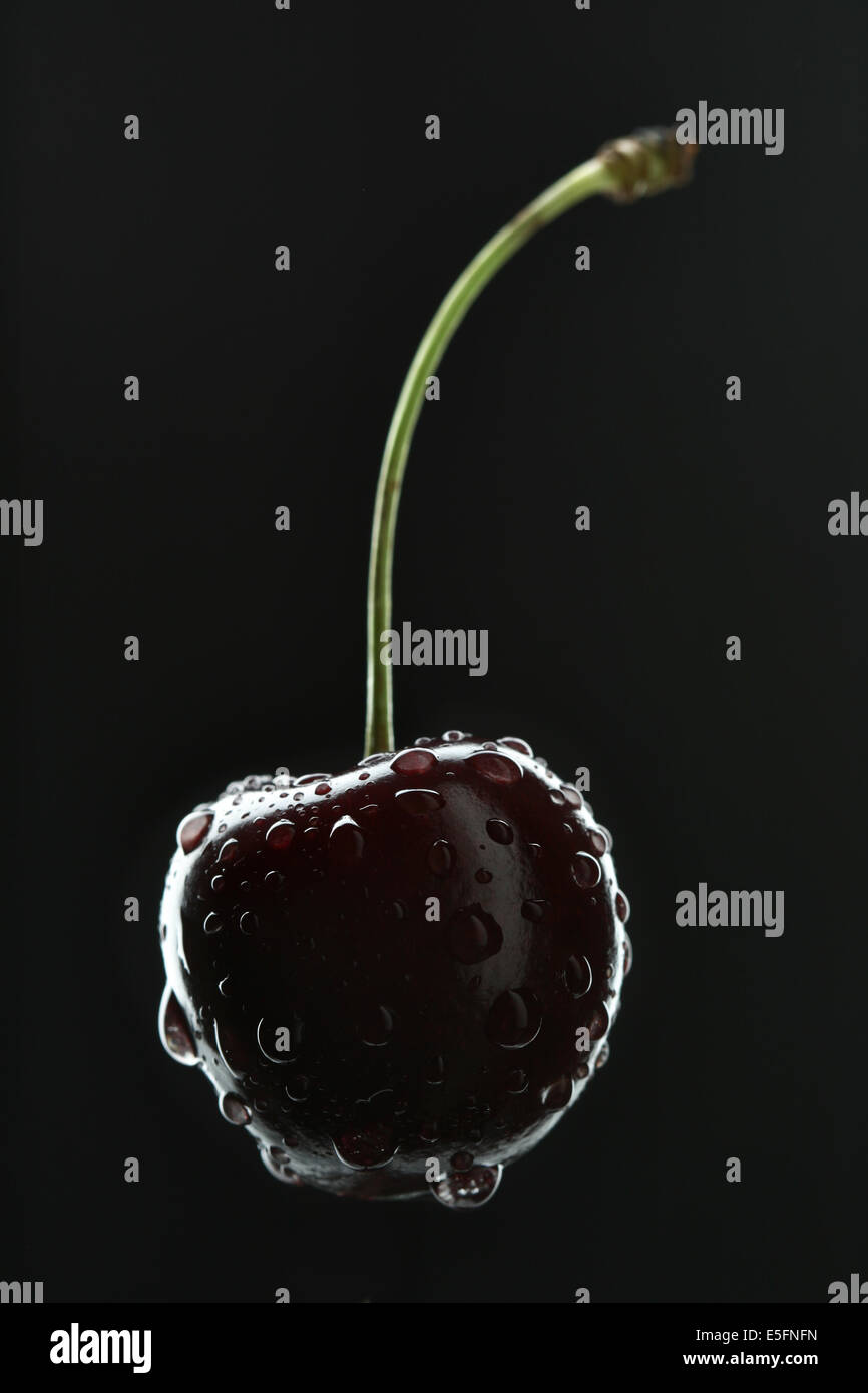 Cherry avec de l'eau gouttes close-up sur fond noir Banque D'Images