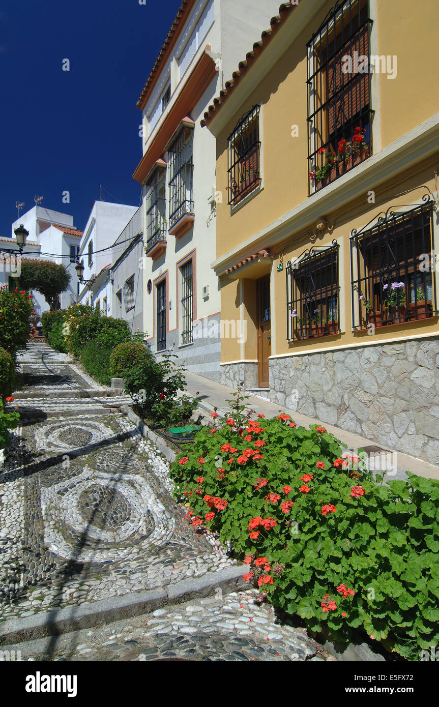 Ruelle typique avec des fleurs, Algeciras, Cadiz Province, Région d'Andalousie, Espagne, Europe Banque D'Images
