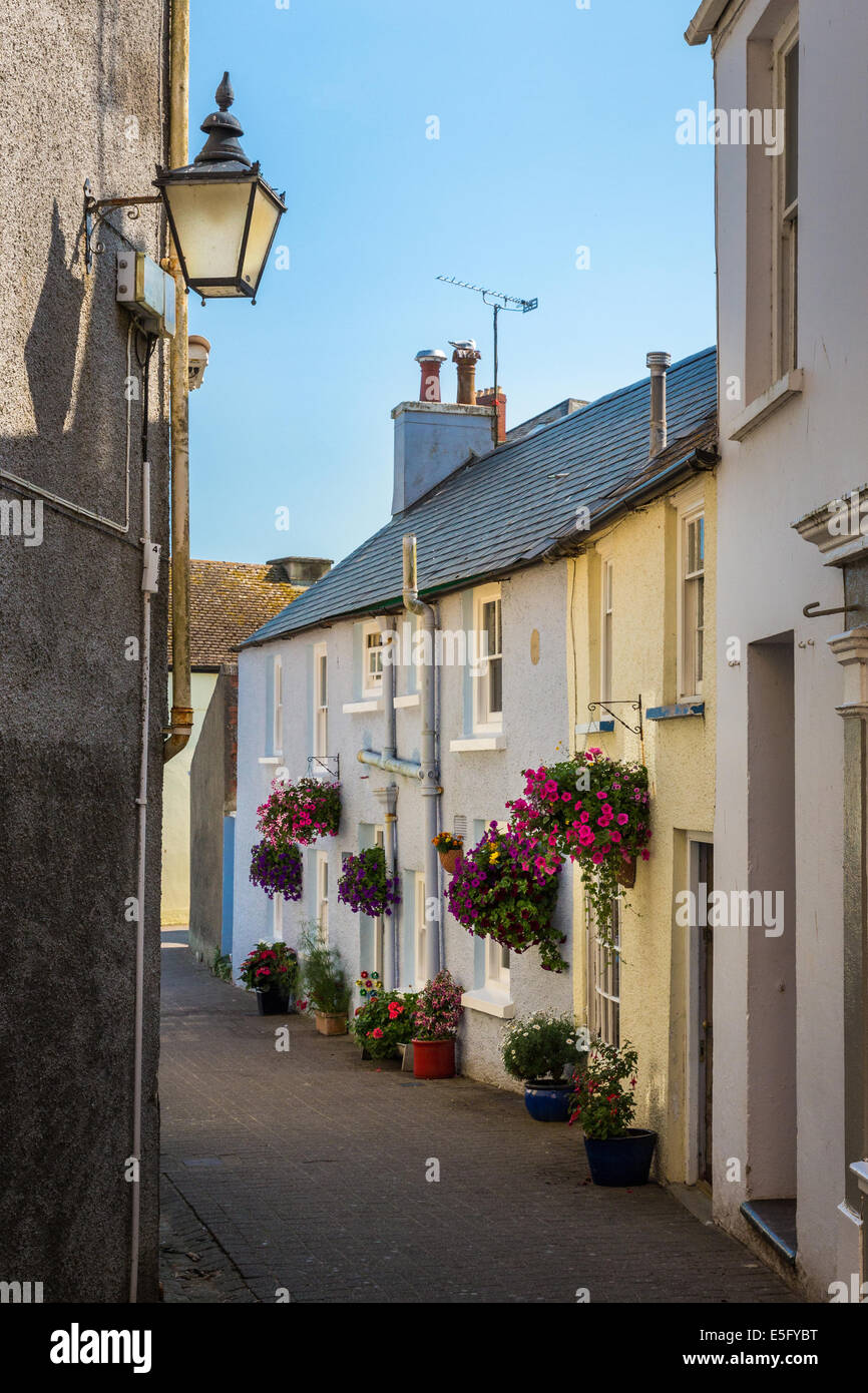 Cob Lane à Tenby. Qu'une des petites rues pittoresques autour de la mer port de la ville. Pembrokeshire, Pays de Galles Banque D'Images