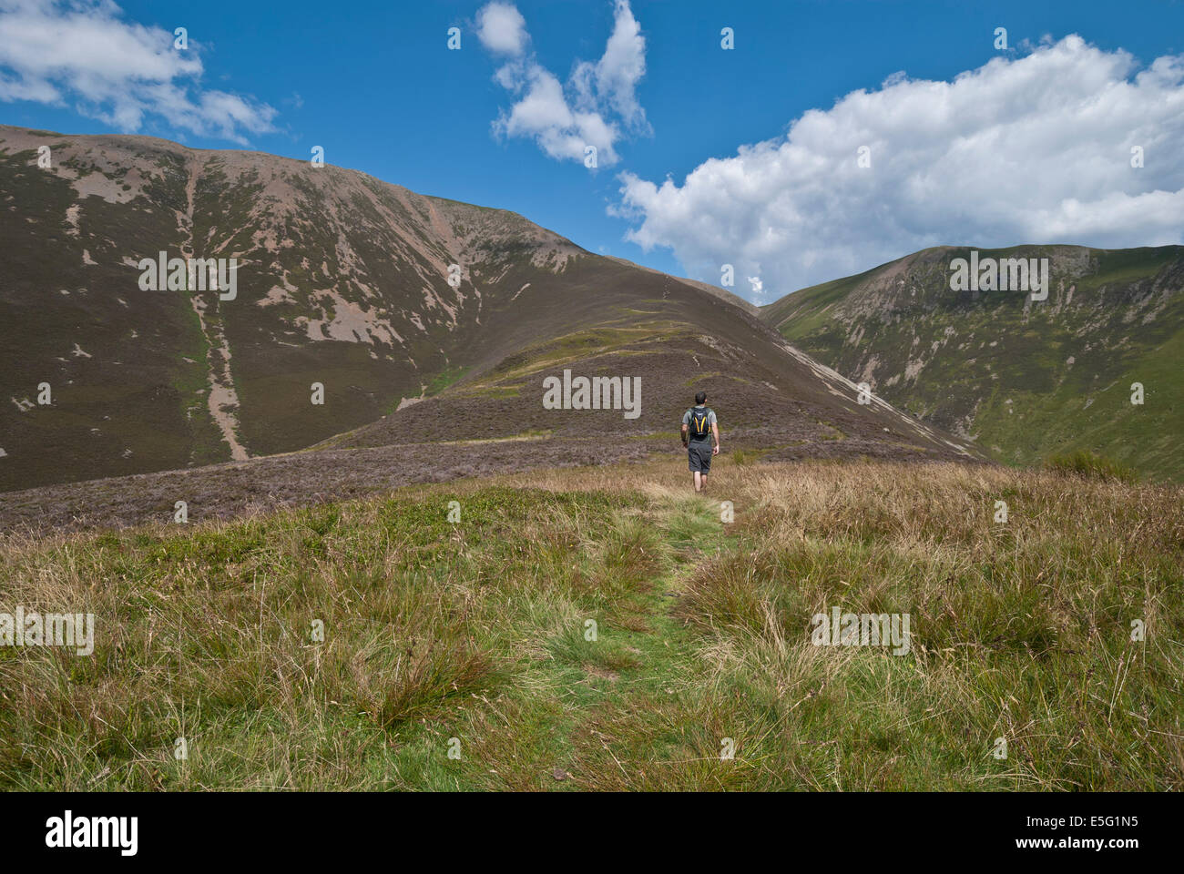 Homme solo en direction de Grasmoor walker via Dal Hows Banque D'Images