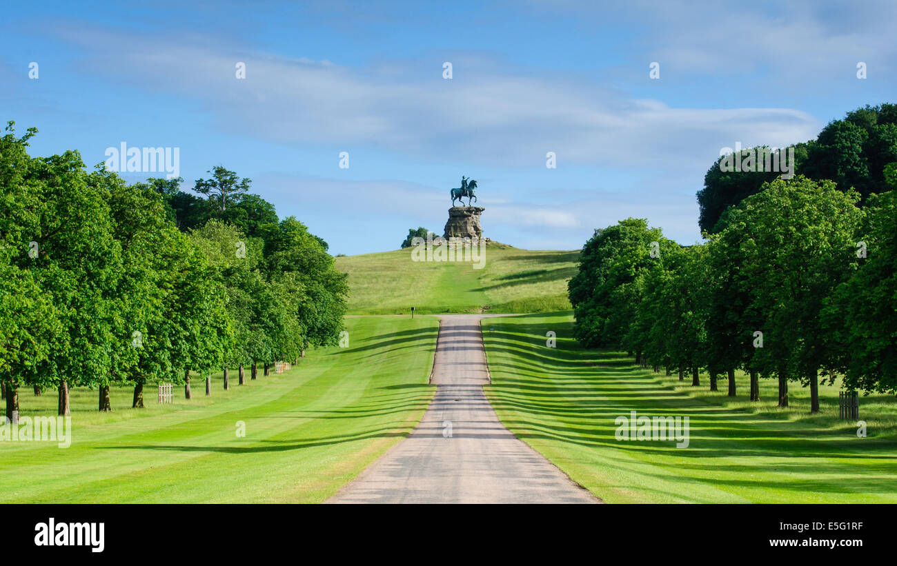 Windsor Great Park Banque D'Images