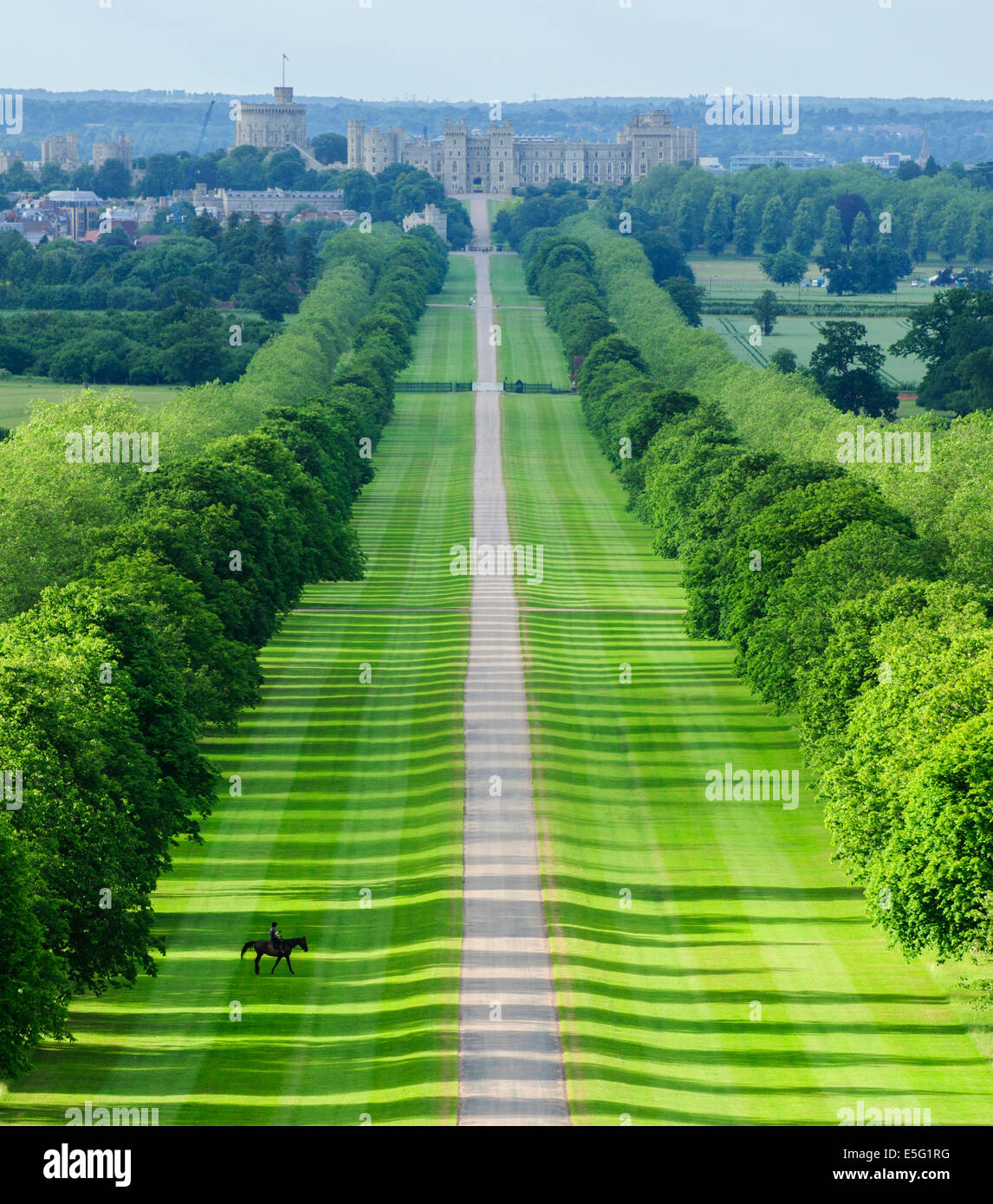 Windsor Great Park Banque D'Images