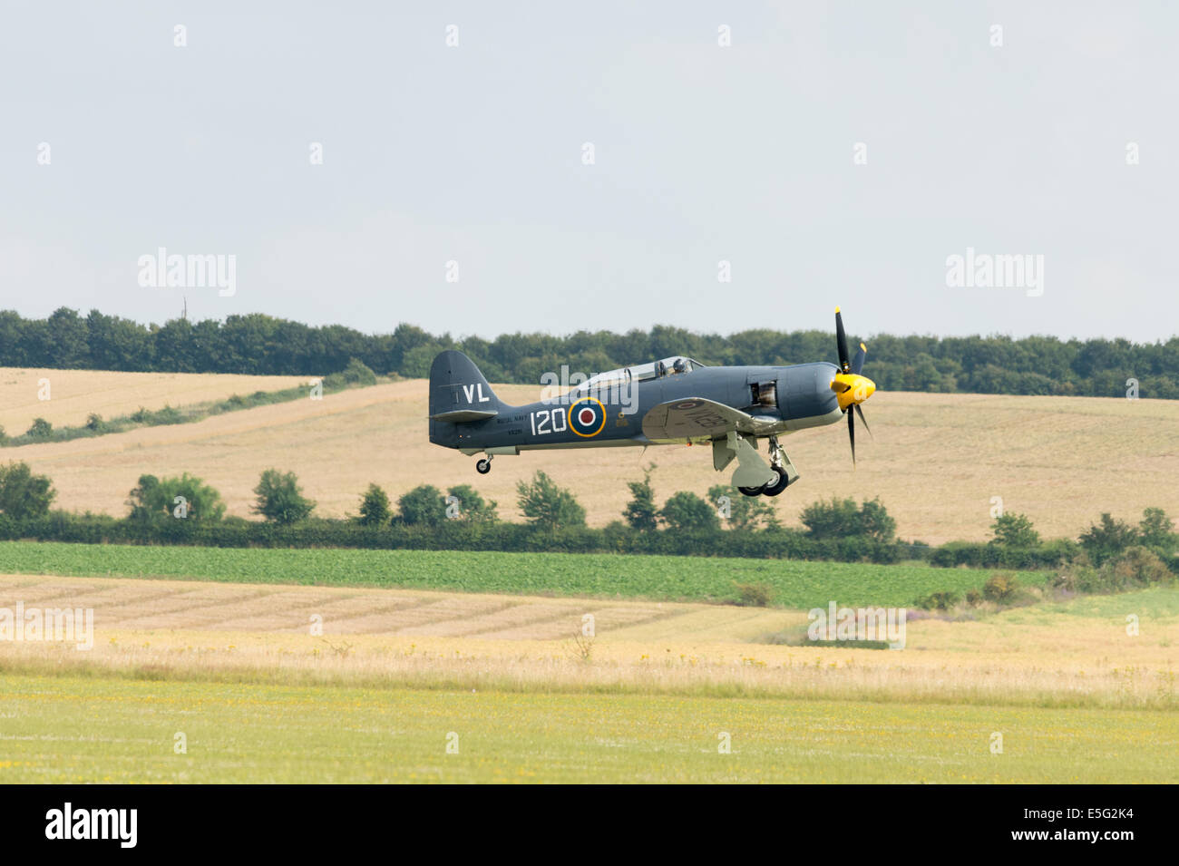 Hawker Sea Fury décoller Banque D'Images