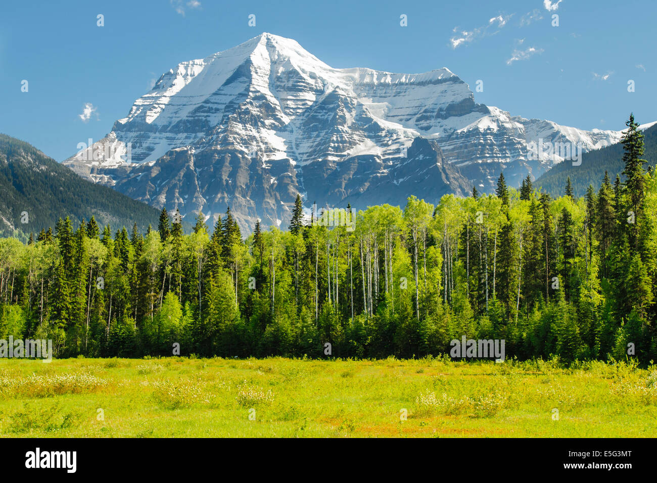 Scenic Le mont Robson dans les montagnes Rocheuses canadiennes, près de Jasper National Park, Alberta Banque D'Images