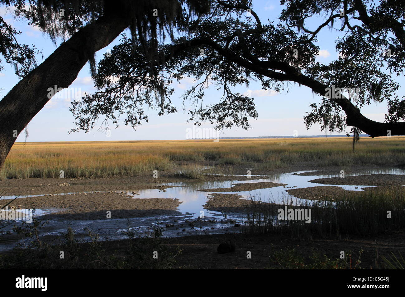 L'île pittoresque de Skidaway Géorgie Banque D'Images