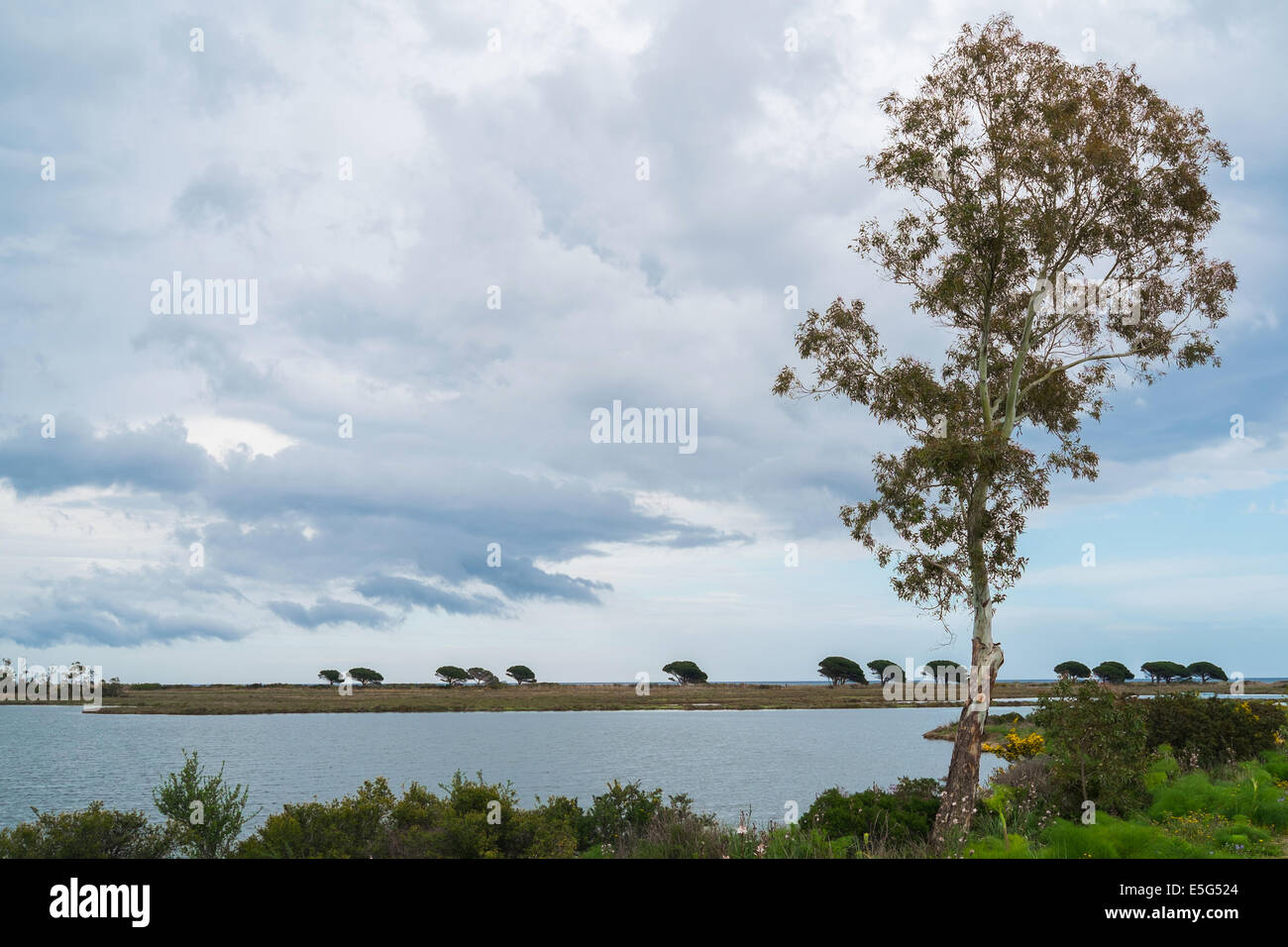 Étang de l'eau près de Posada, Sardaigne, Italie Banque D'Images