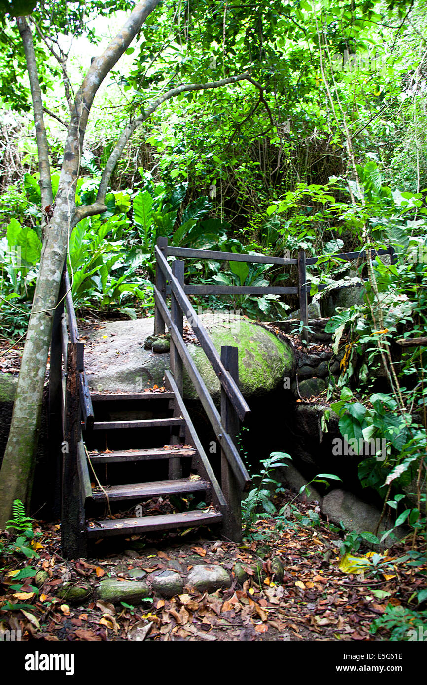 Le Parc National Naturel de Tayrona est situé dans la région des Caraïbes en Colombie. La zone fait partie du département de Magdalena. Un 3 Banque D'Images