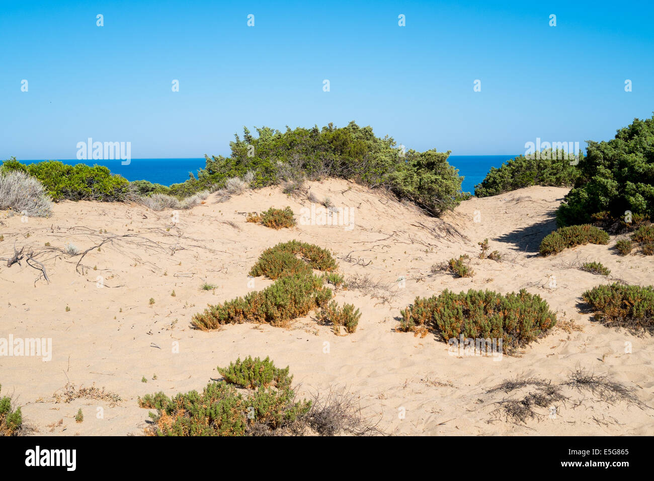 Beach dunes Piscinas en vert, de la côte ouest de la Sardaigne, Italie Banque D'Images