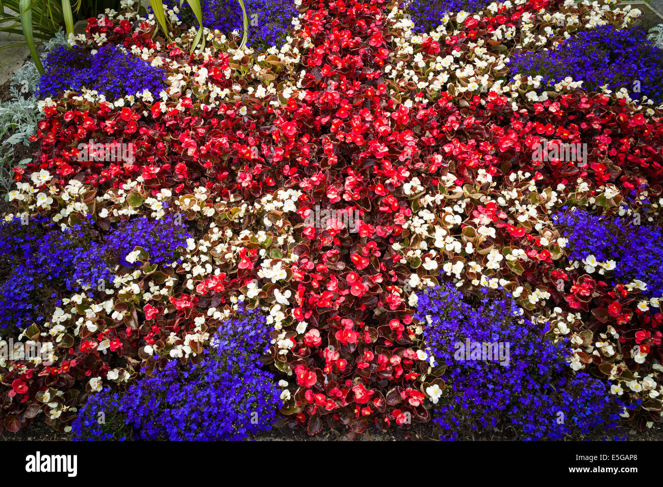 Une literie à motifs floraux en forme de l'Union Jack - le drapeau national du Royaume-Uni Banque D'Images