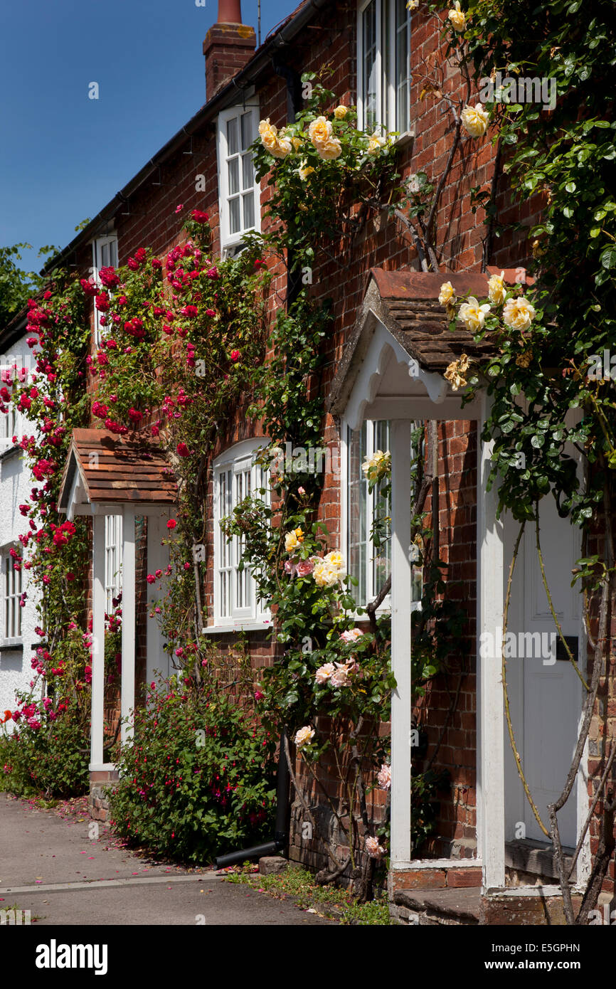 Old English cottages de rosiers grimpants plus porche de l'entrée, East Hendred, Oxfordshire, Angleterre Banque D'Images