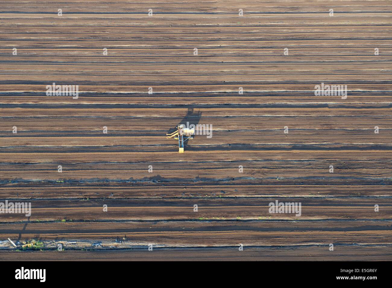 La tourbe, Midlothian, Ecosse. Banque D'Images
