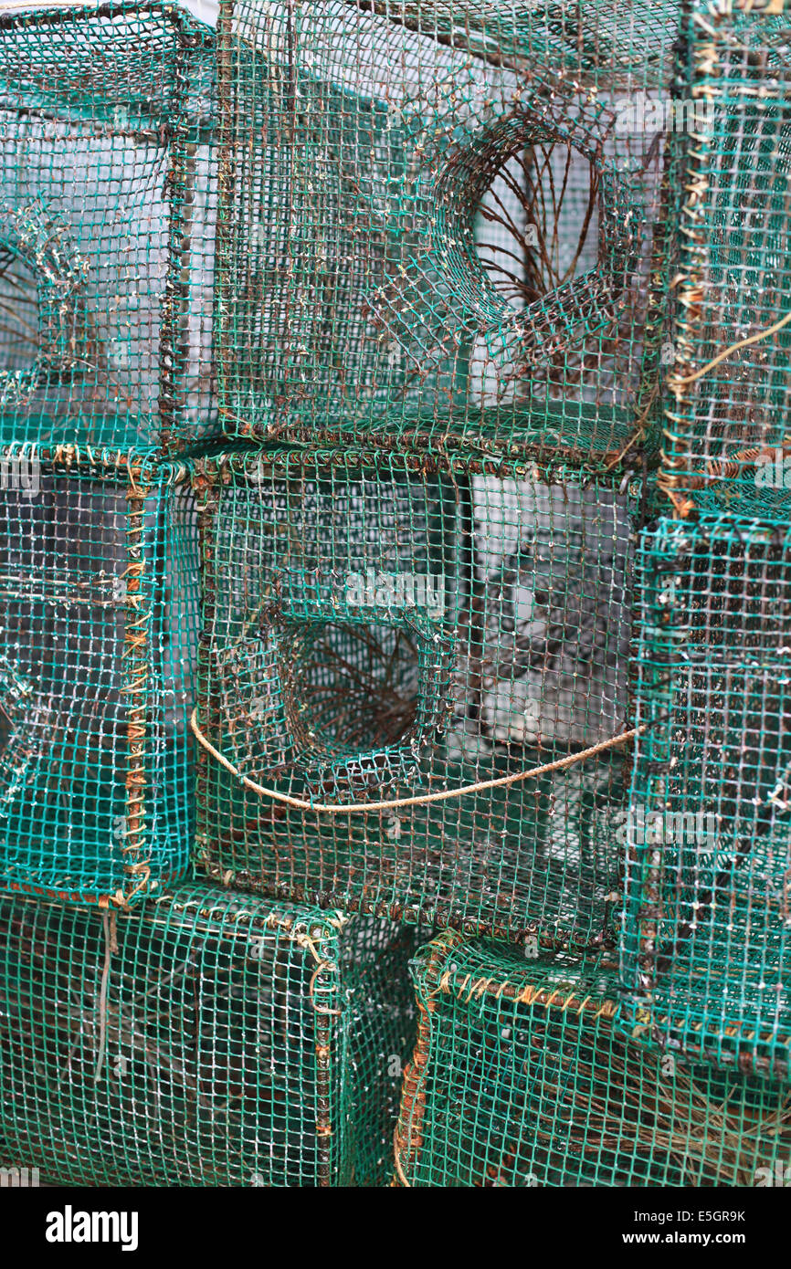 Close up de homard sur le quai au port de pêche de Llança, Costa Brava Banque D'Images