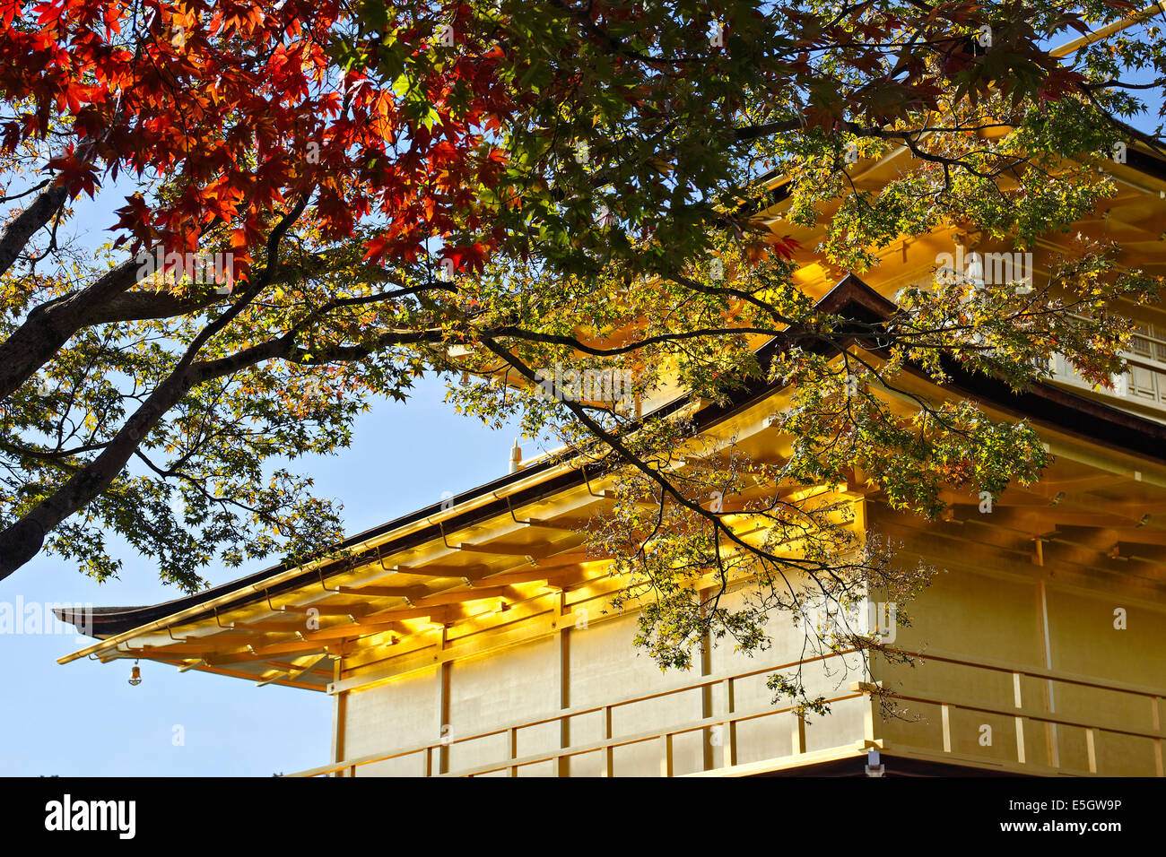Temple Kinkakuji, Kyoto, Japon. Banque D'Images