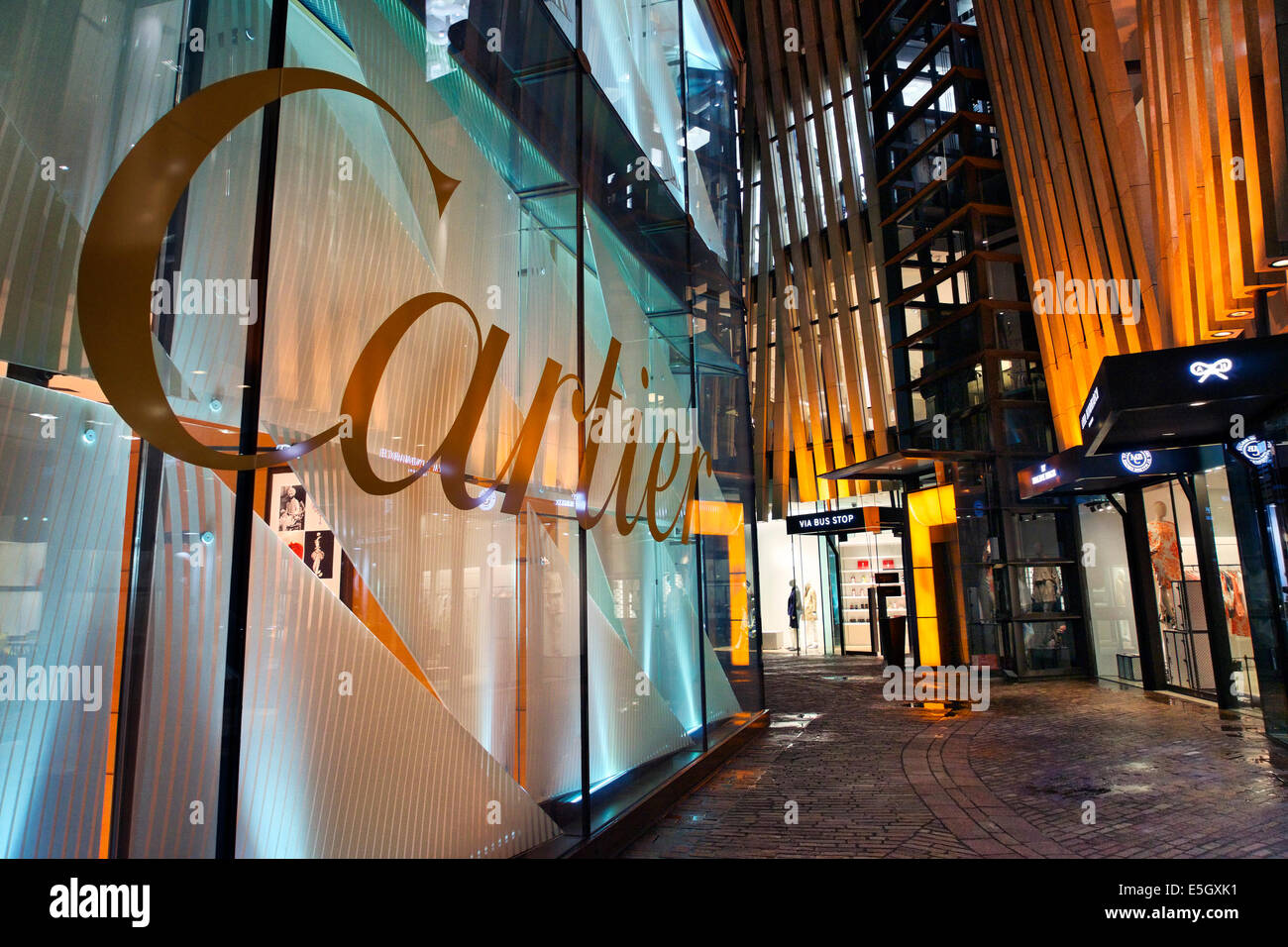 Les boutiques de luxe dans quartier Omotesando, Tokyo, Japon. Banque D'Images