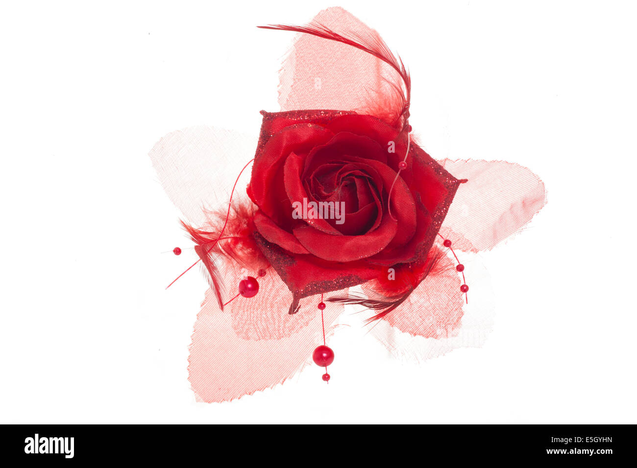 Broche fleur rose rouge silhouette studio Banque D'Images