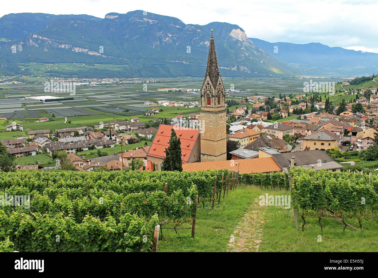 Avis de Termeno/Tramin dans l'Alto Adige/Sud Tyrol entre vignobles Banque D'Images
