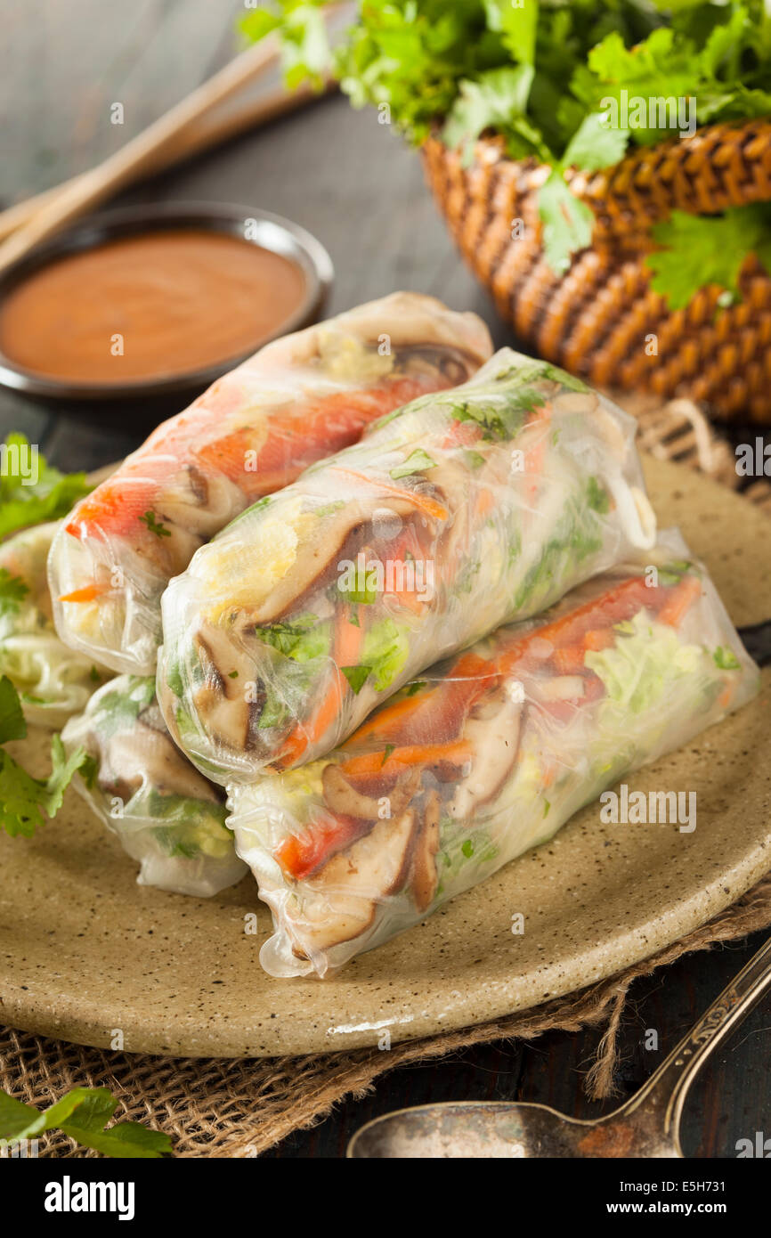 Rouleaux de printemps végétariens sains avec les carottes et les choux de coriandre Banque D'Images
