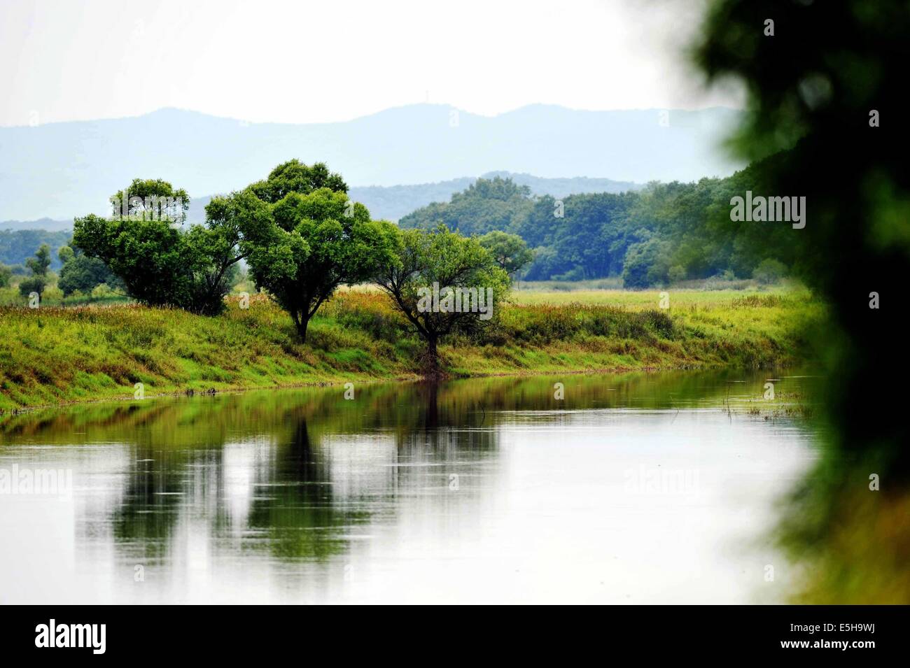 Hulin. 15e Août, 2014. Photo prise le 15 août 2014 montre le paysage de la zone humide sur l'Île Zhenbao Hulin, dans la province du nord-est de la Chine. L'Île Zhenbao, ce qui signifie trésor rare en chinois, a une superficie de 29 275 hectares. La zone humide ici a été désignée comme zone humide d'importance internationale par la Convention de Ramsar en octobre 2011 pour son importance vitale, car c'est un marais unique pour la diversité biologique. © Wang Jianwei/Xinhua/Alamy Live News Banque D'Images