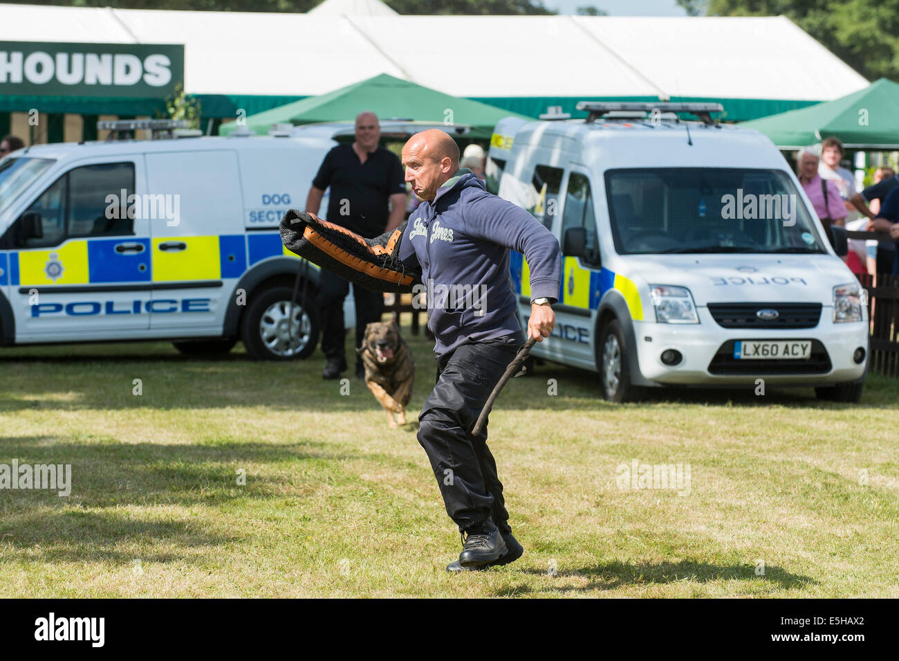 Chien de police au cours de la 'Nouvelle Forêt & Hampshire County Show 2014'. Banque D'Images