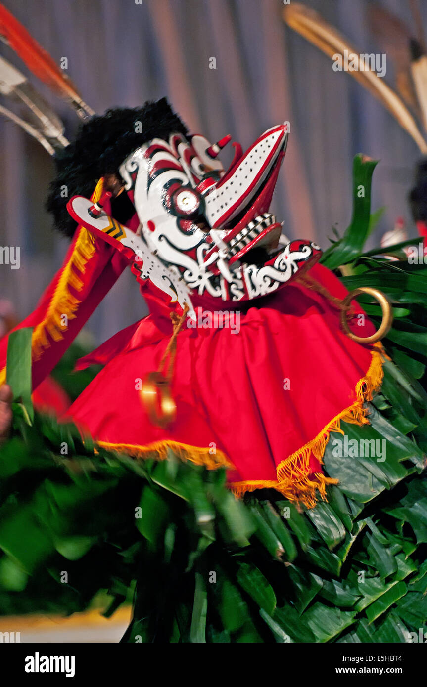 Cette danse vient de les Dayak Kenyah et tribus Dayak Modang. Banque D'Images