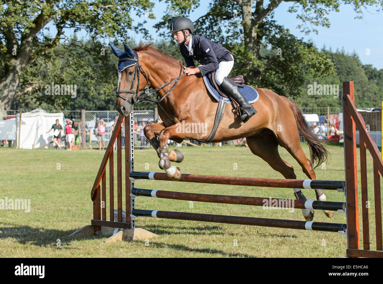 Poneys en compétition dans un concours de saut d'obstacles au cours de la 'Nouvelle Forêt & Hampshire County Show 2014'. Banque D'Images