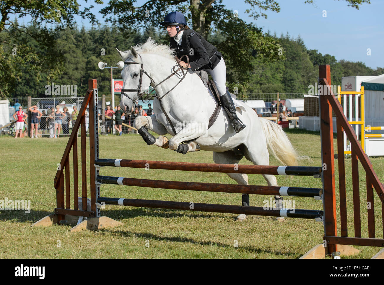 Poneys en compétition dans un concours de saut d'obstacles au cours de la 'Nouvelle Forêt & Hampshire County Show 2014'. Banque D'Images