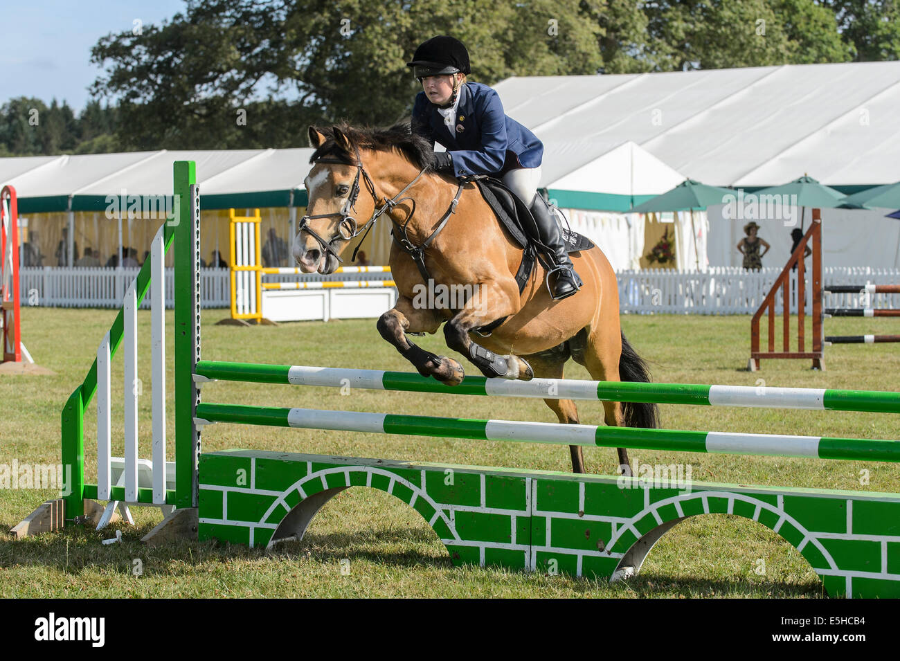 Poneys en compétition dans un concours de saut d'obstacles au cours de la 'Nouvelle Forêt & Hampshire County Show 2014'. Banque D'Images