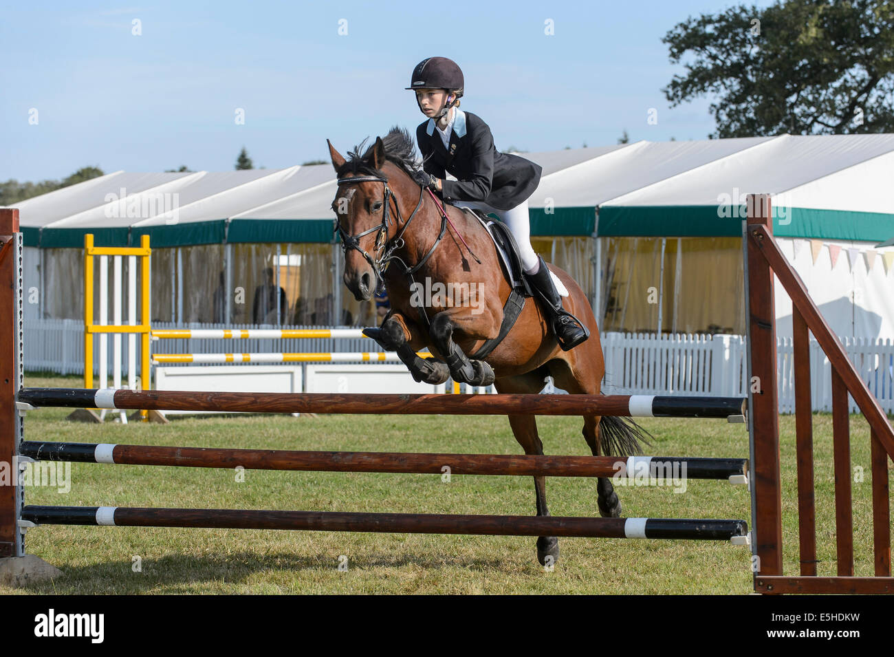 Poneys en compétition dans un concours de saut d'obstacles au cours de la 'Nouvelle Forêt & Hampshire County Show 2014'. Banque D'Images