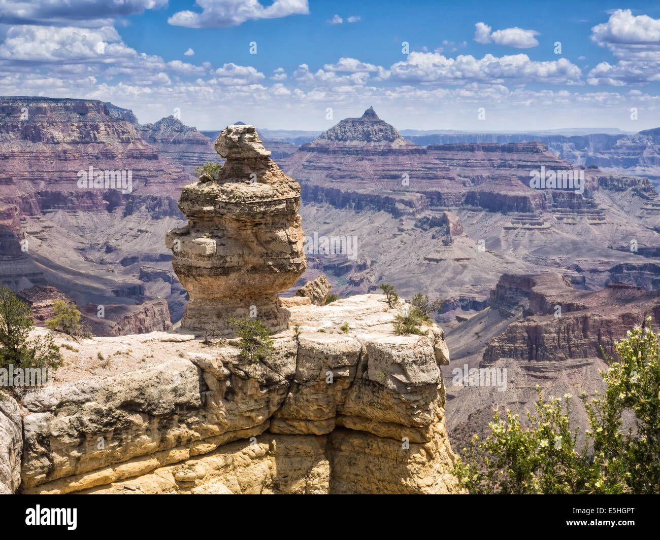 Le Parc National du Grand Canyon panorama avec le canard, Arizona Banque D'Images