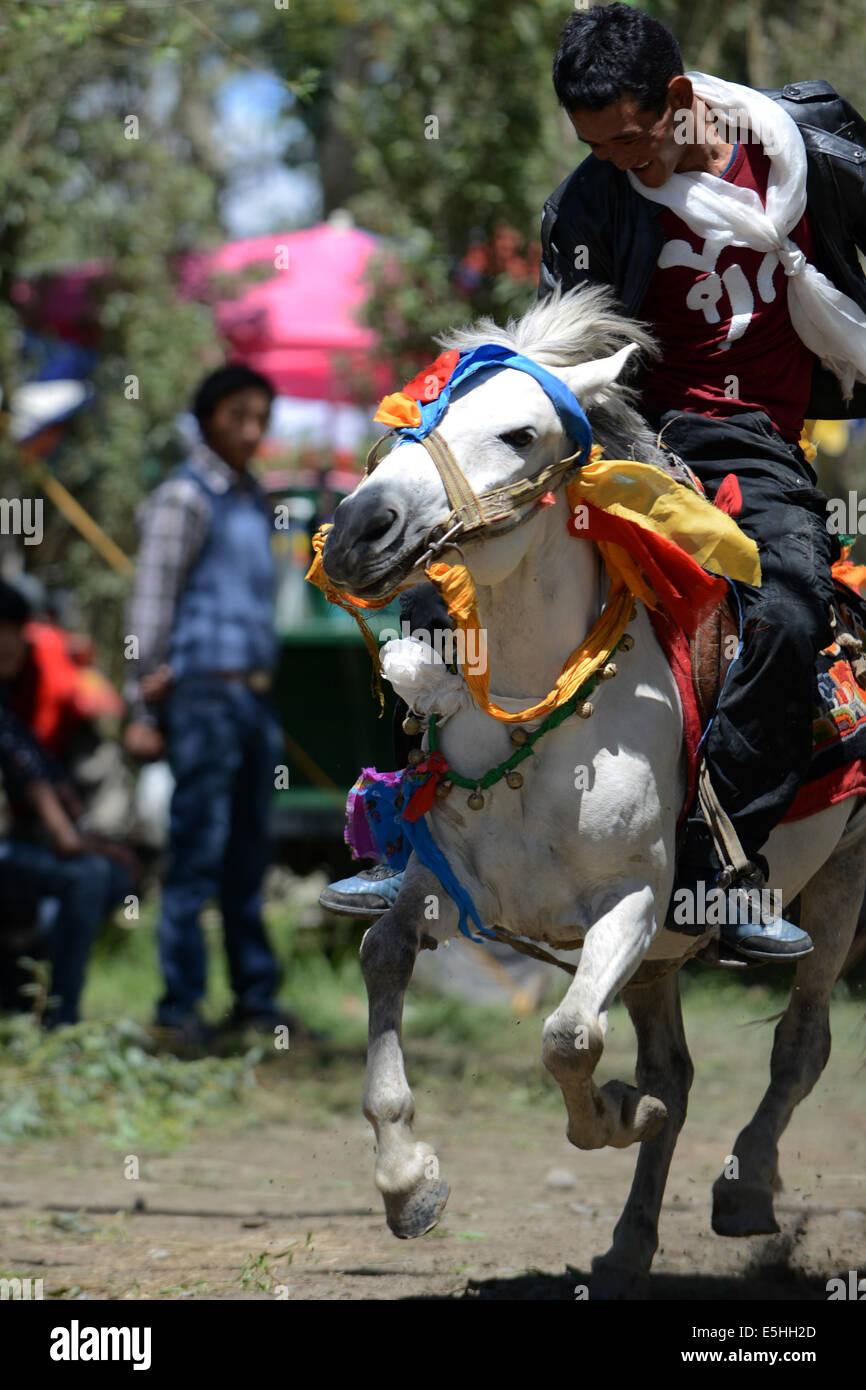 Shigatse, la Région autonome du Tibet. 1er août, 2014. Un agriculteur de l'ethnie tibétaine assiste à une course pendant la célébration de l'Ongkor Festival à Shigatse, au sud-ouest de la région autonome du Tibet de la Chine, le 1 août 2014. Le Festival Ongkor, ou récolte exceptionnelle, le festival est célébré chaque année par les agriculteurs locaux pour la récolte des cultures. Credit : Chogo,/Xinhua/Alamy Live News Banque D'Images