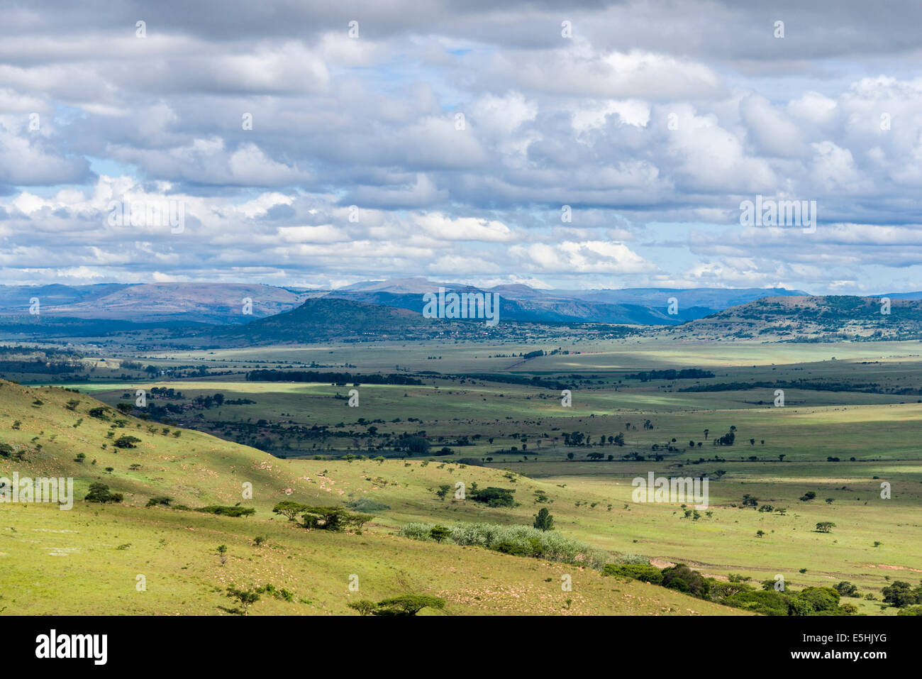 Panoramique de la savane, Nambiti Réserver, Kwa-Zulu Natal, Afrique du Sud Banque D'Images