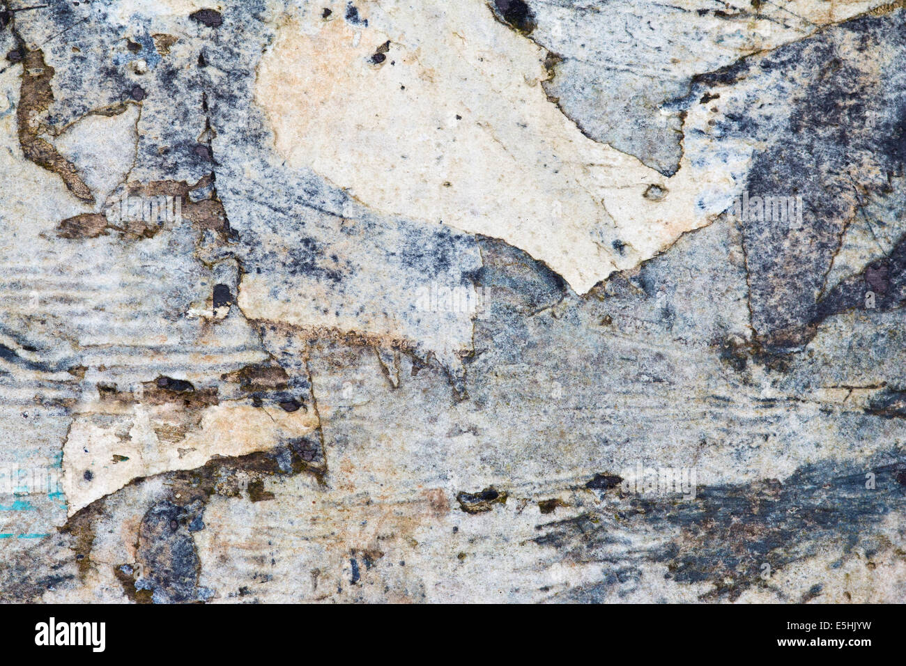 lambeaux de papier Banque D'Images