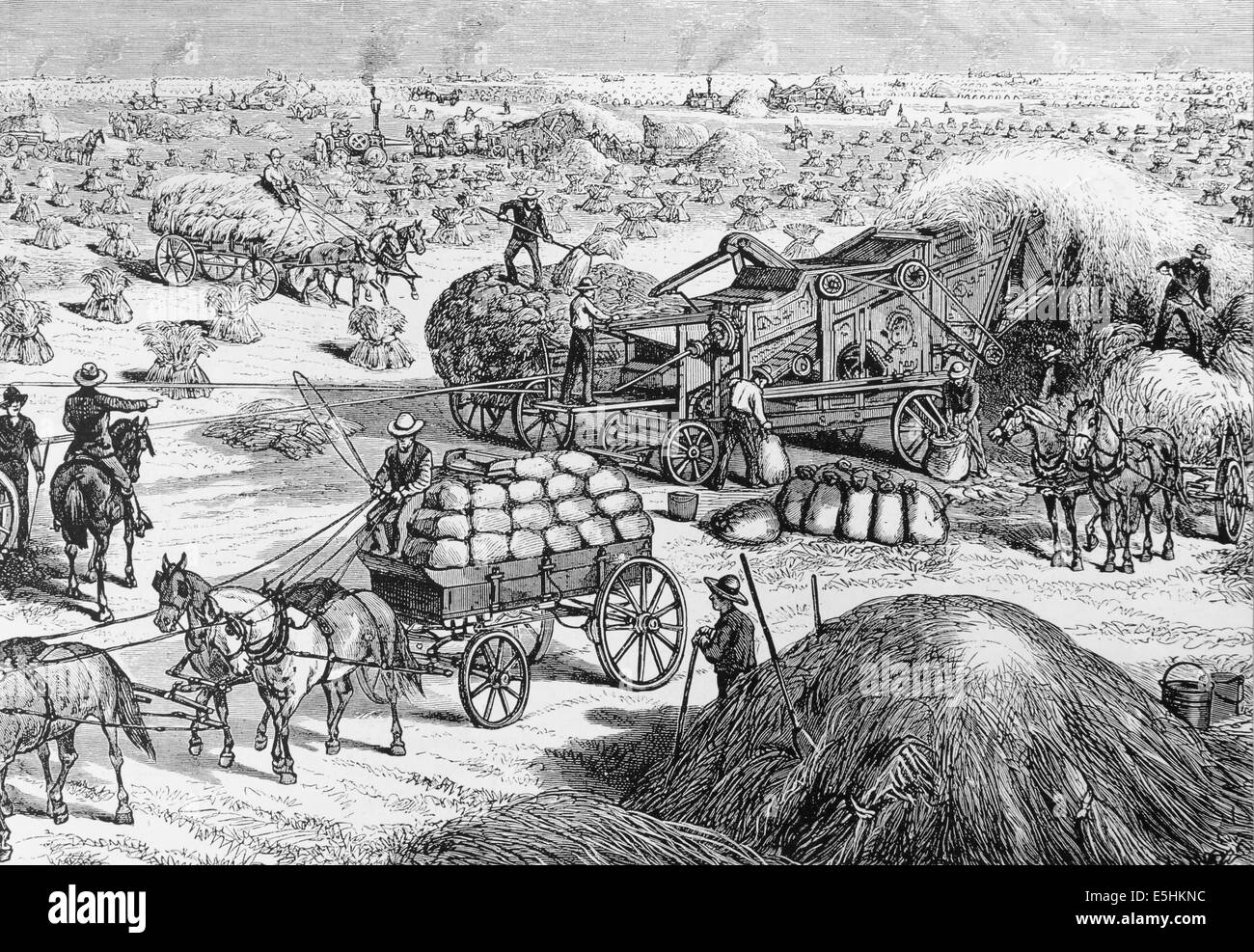USA. Dakota. L'inhalation de la vapeur d'alimentation des moteurs des machines de battage de la récolte des cultures de blé au territoire du Dakota à la fin 1870. Banque D'Images