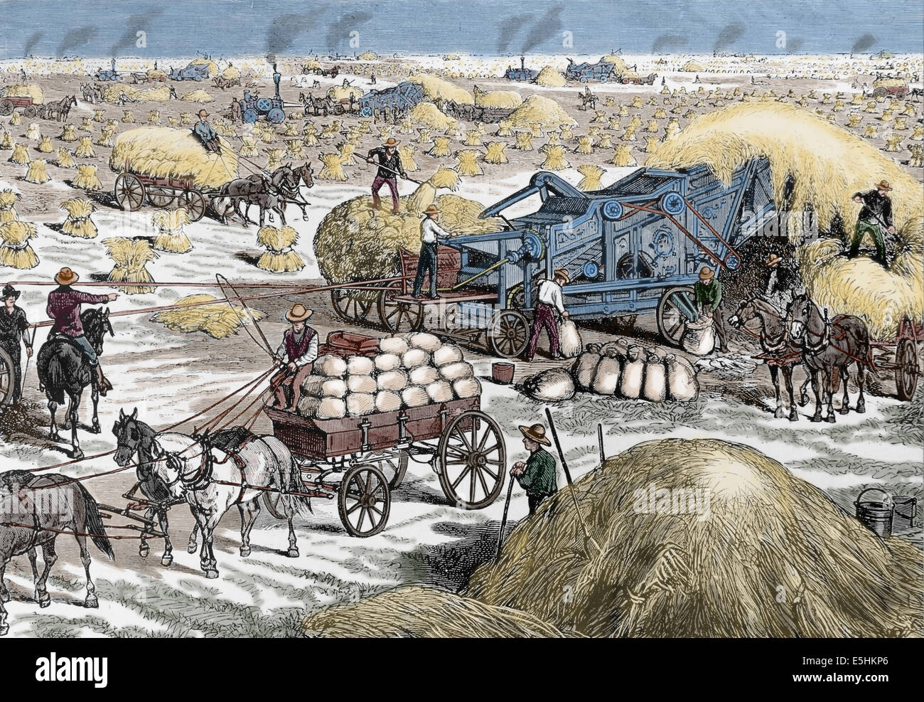 USA. Dakota. L'inhalation de la vapeur d'alimentation des moteurs des machines de battage de la récolte des cultures de blé au territoire du Dakota à la fin 1870. Banque D'Images