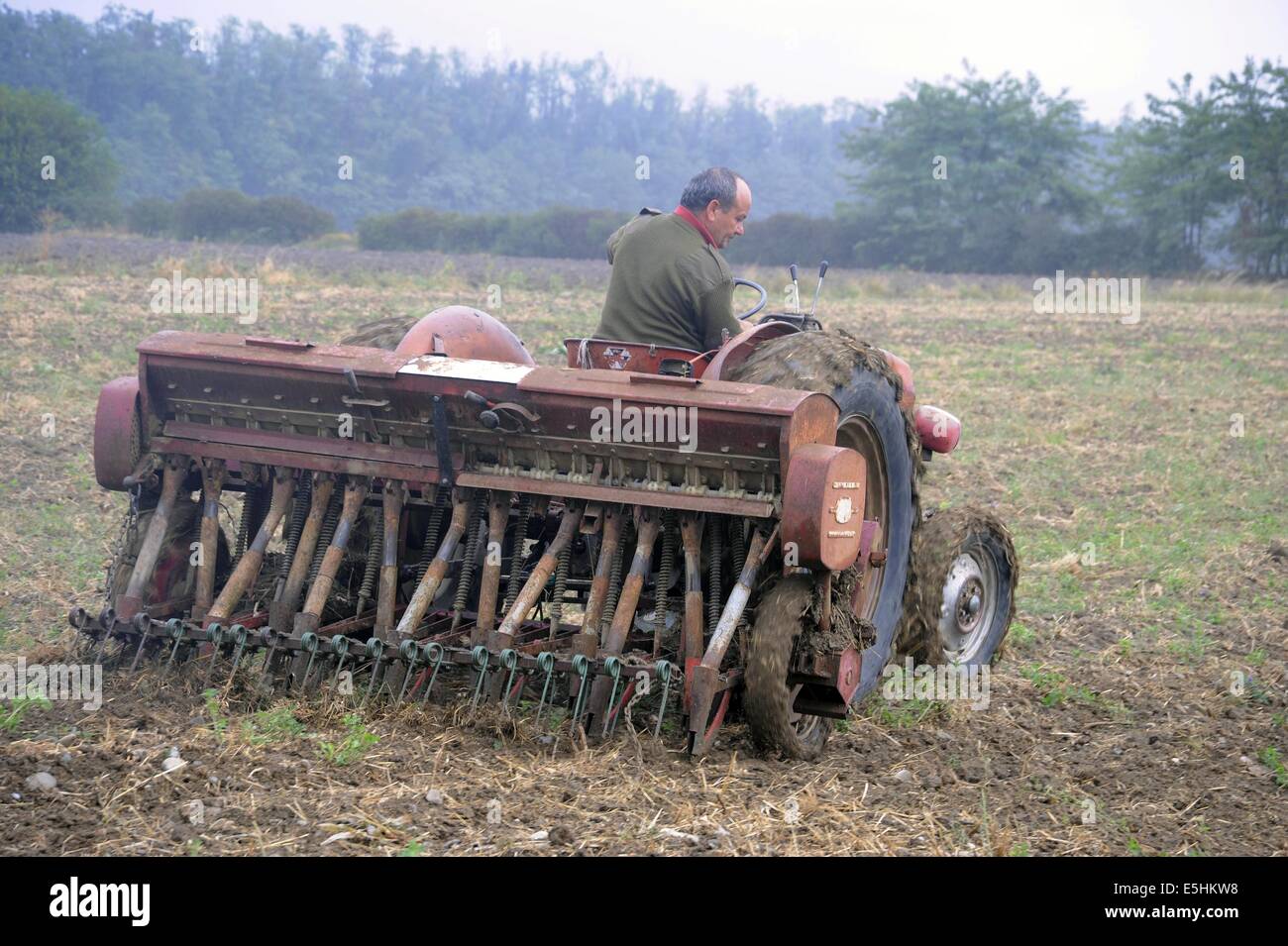 Vieux tracteur travaillant dans les champs pour les semis dans la province de Piacenza (Italie) Banque D'Images