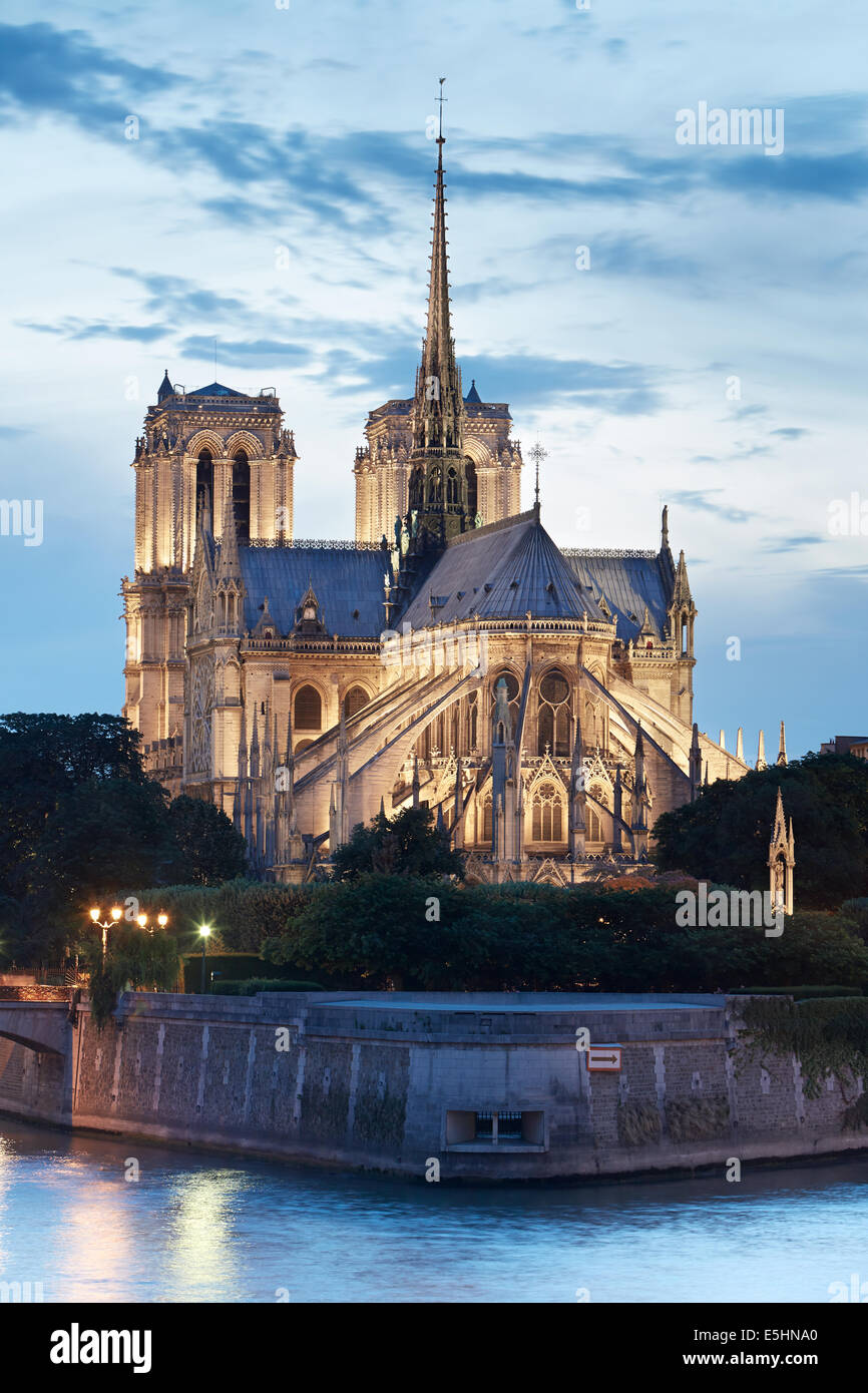 La cathédrale Notre Dame de Paris en France dans la nuit avec vue sur le fleuve Seine Banque D'Images