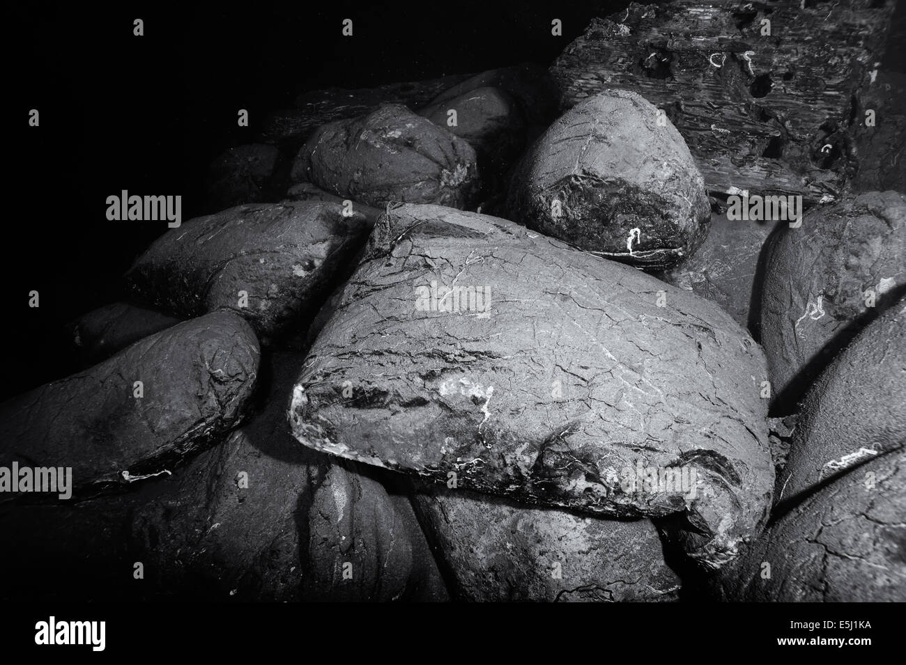 Sacs de ciment à l'intérieur de la conserve de l'épave Umbria coulé sur Wingate reef dans la mer Rouge au large de la côte du Soudan Banque D'Images