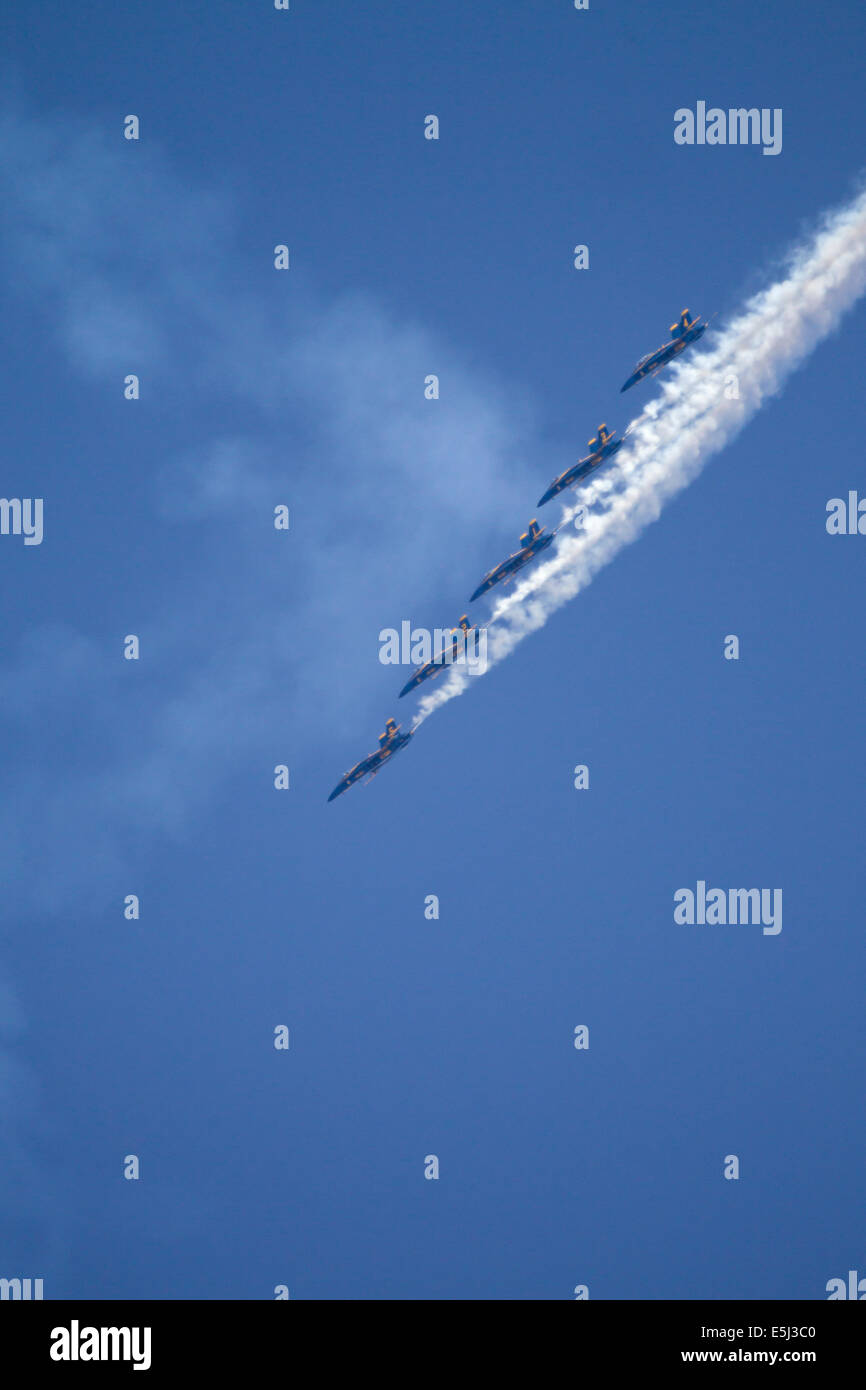 Seattle, Washington, US. 31 juillet, 2014. Blue Angels de la Marine américaine F/A-18 Hornet pratique, Seafair, le lac Washington, Seattle, Washington, le 31 juillet 2014 Crédit : Marilyn Dunstan/Alamy Live News Banque D'Images